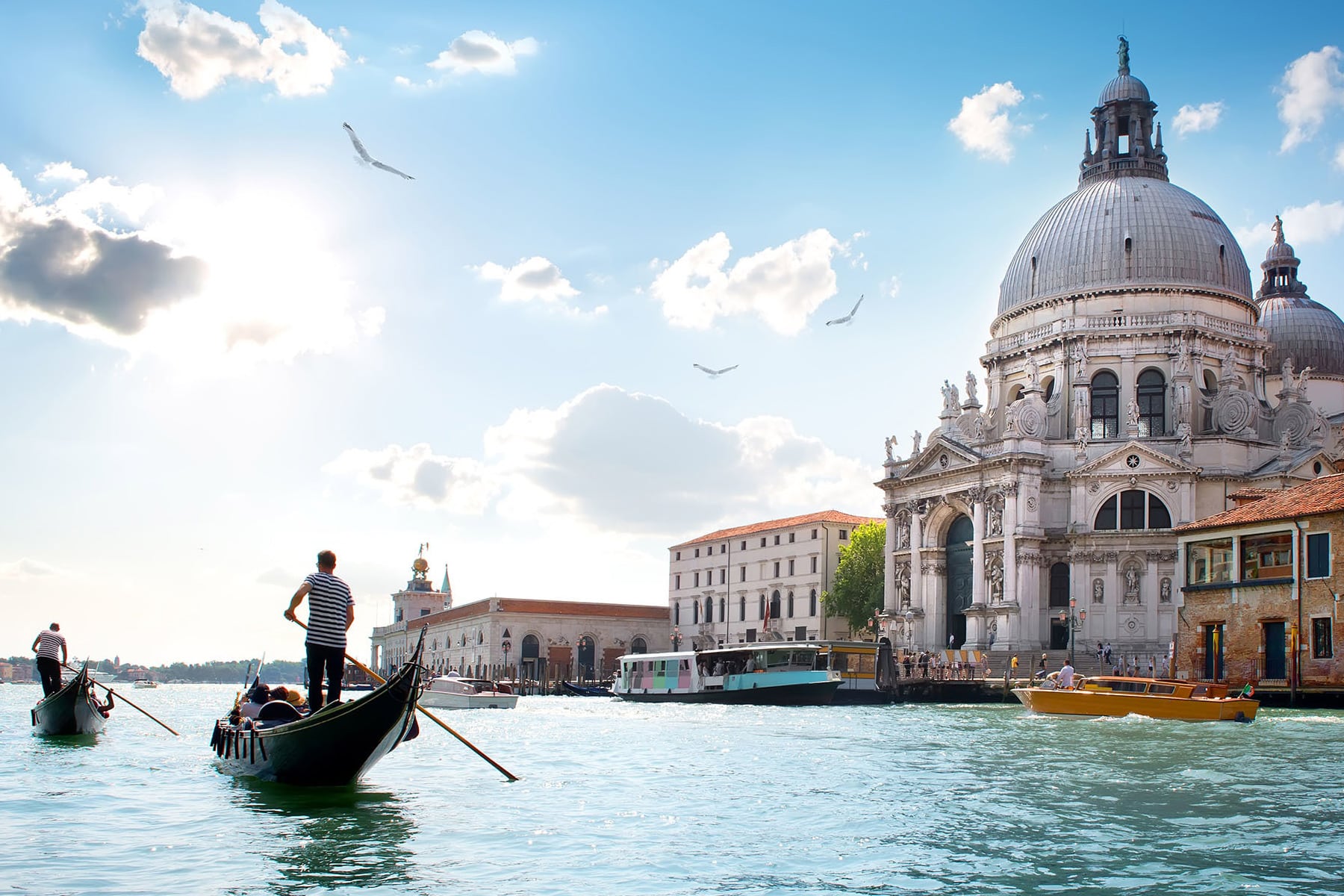 Venezia