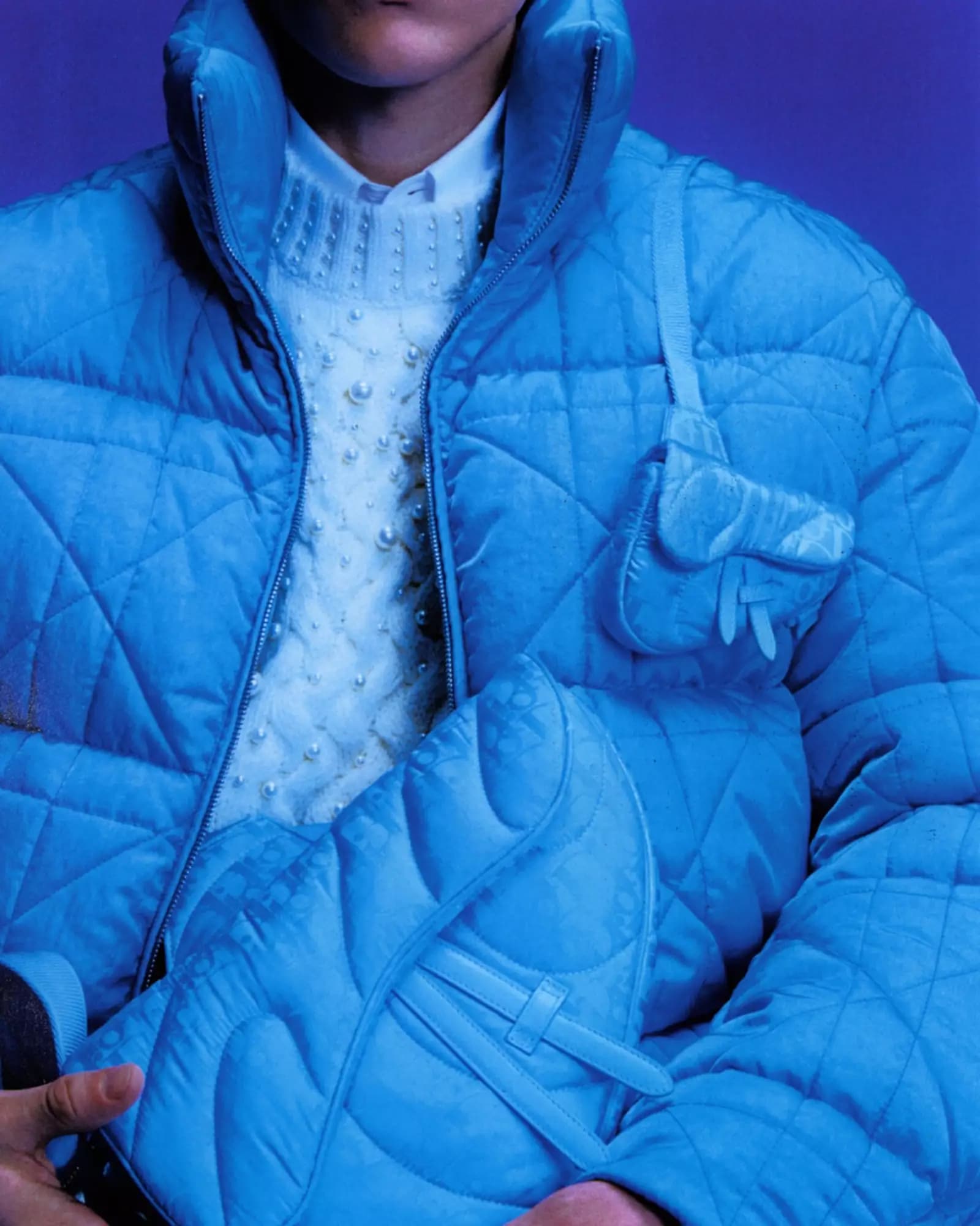 Dior ERL Collaborazione crop