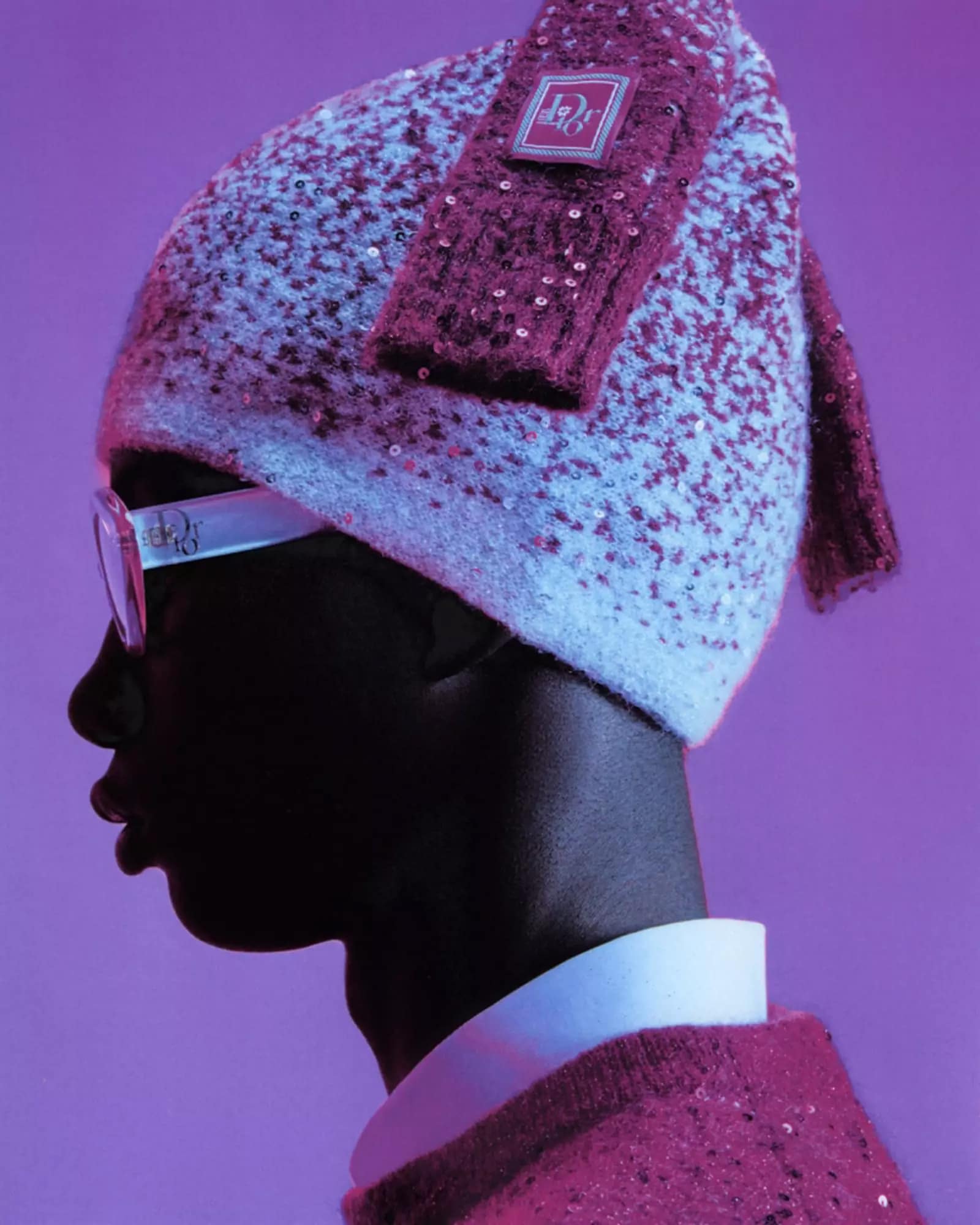 Dior ERL Collaborazione crop