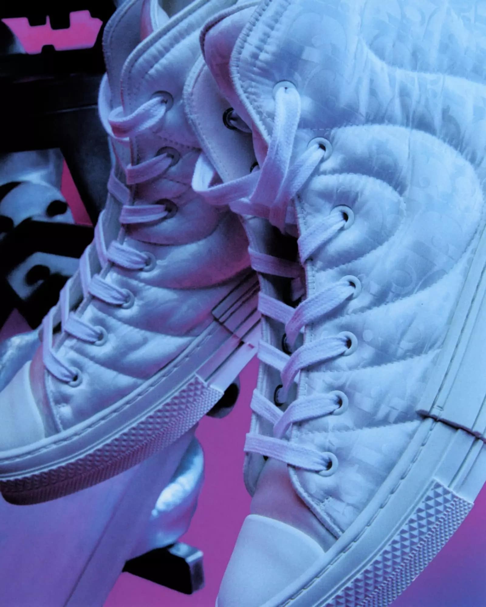 Dior ERL Collaborazione crop