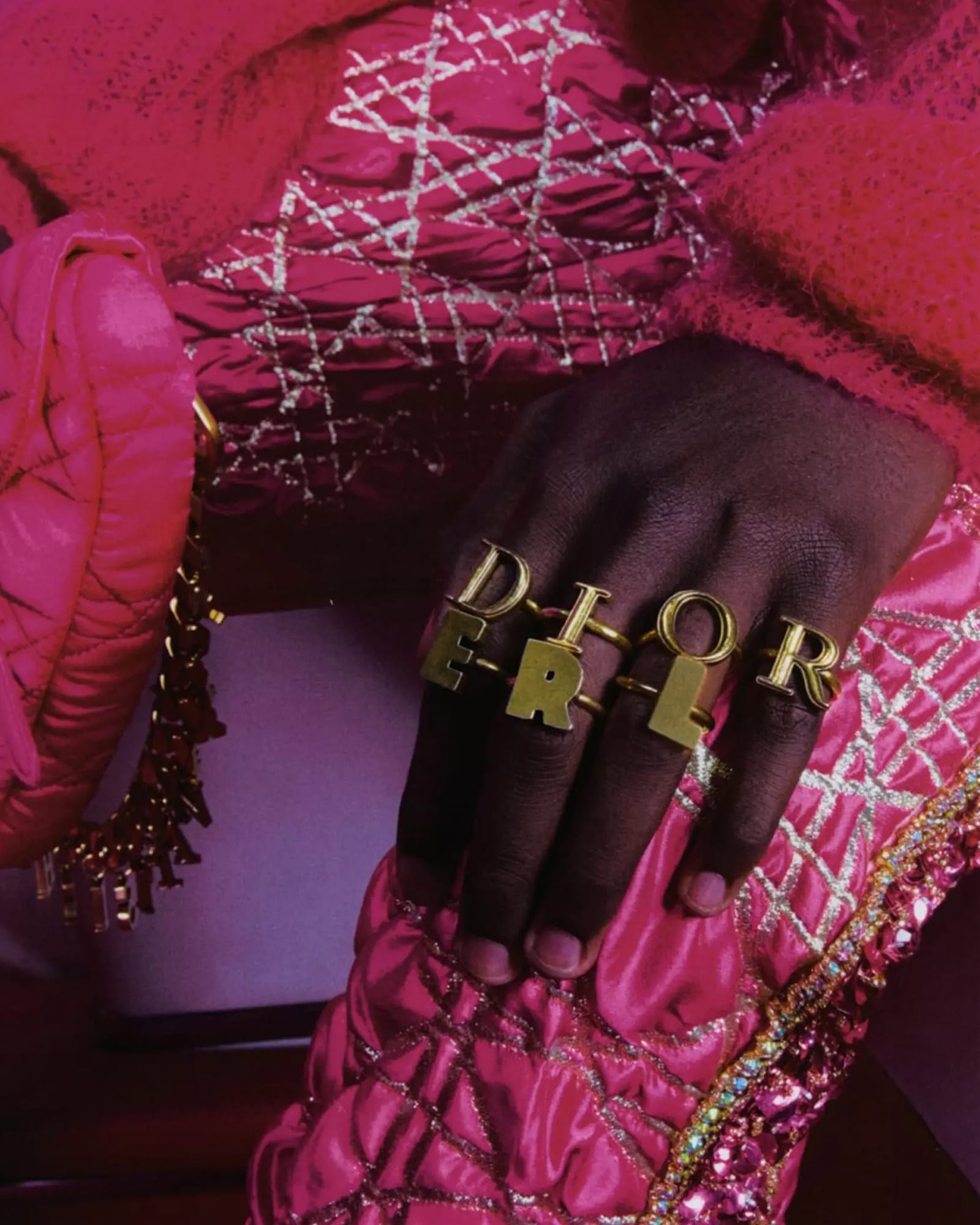 Dior ERL Collaborazione crop