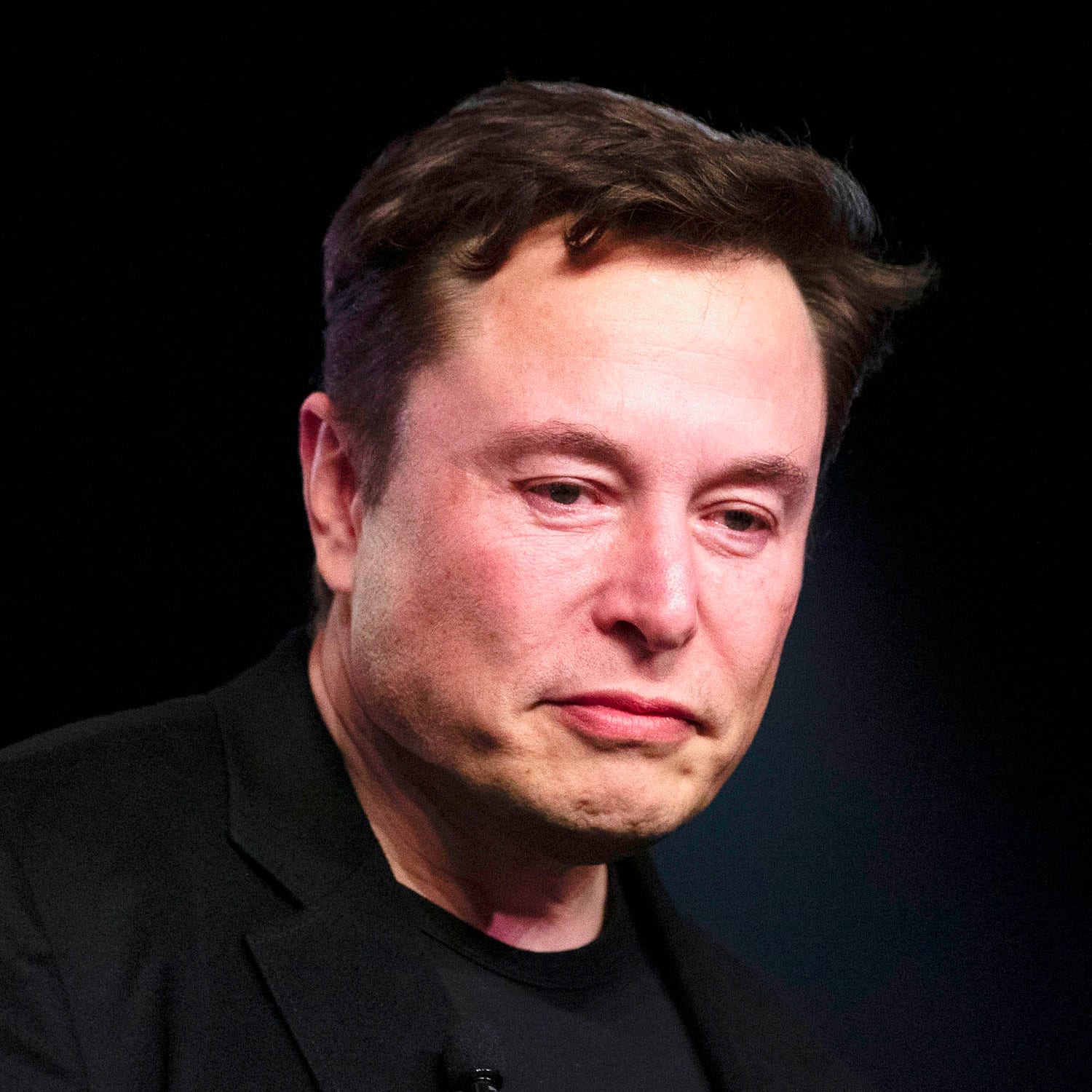 Elon Musk Crollo