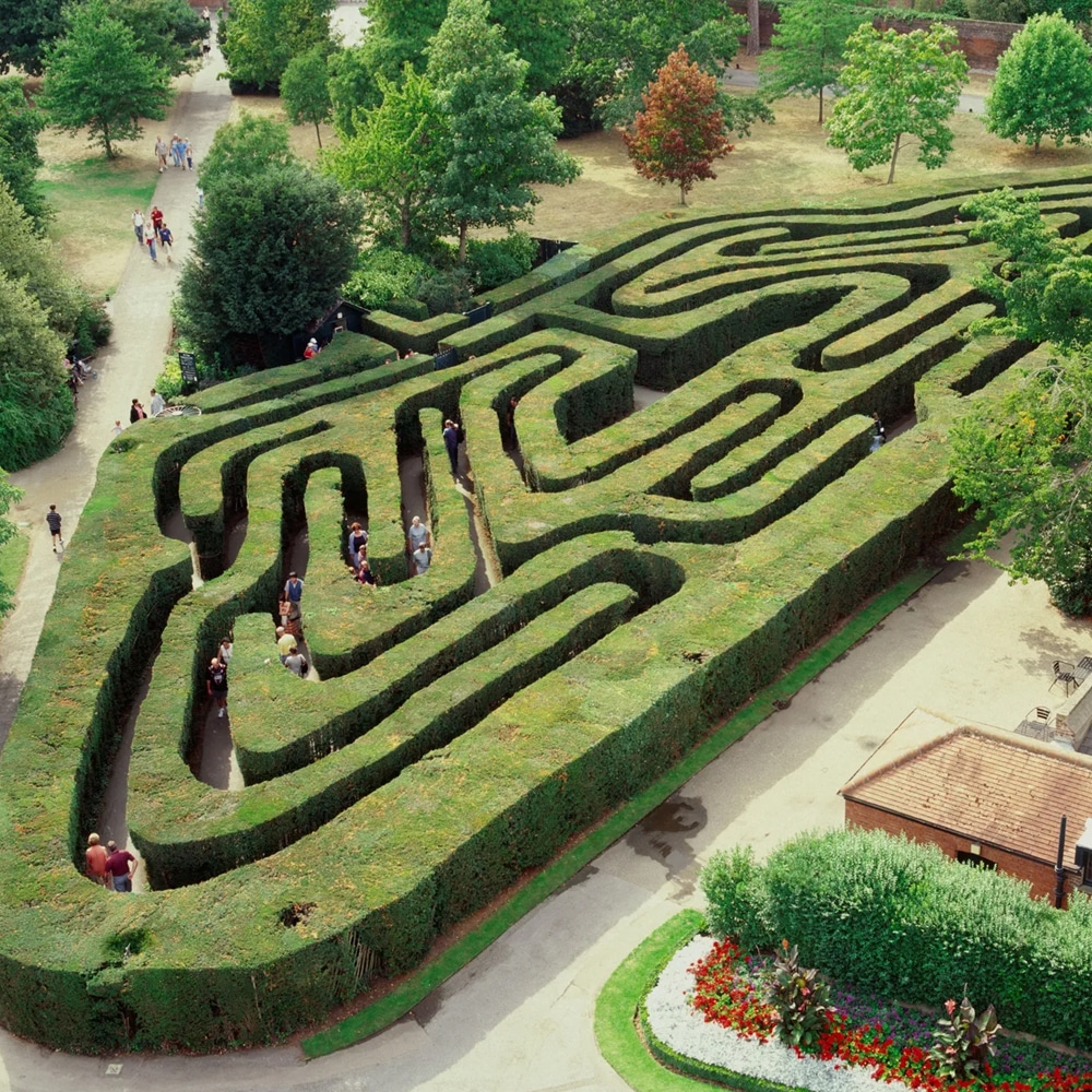 Labirinto Hampton Court Molesey Inghilterra