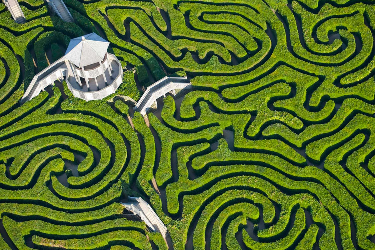 Longleat Hedge Maze Warminster Regno Unito