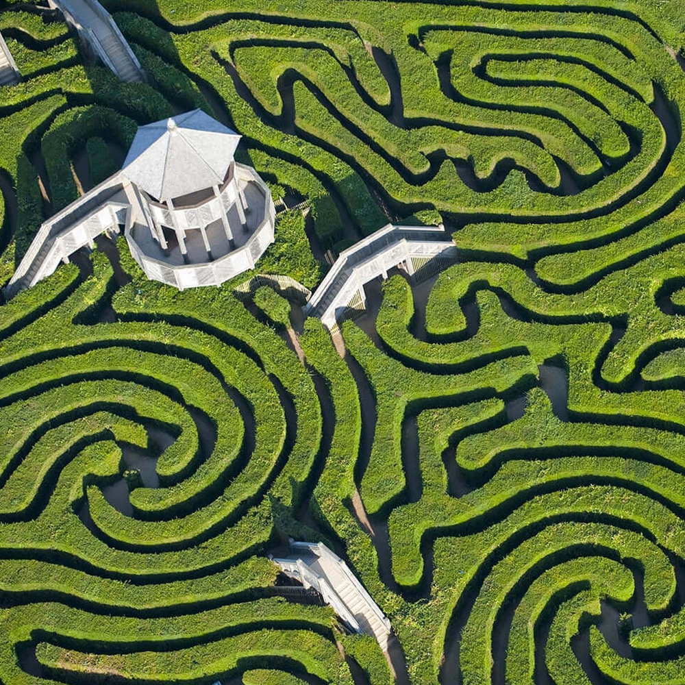Longleat Hedge Maze Warminster Regno Unito