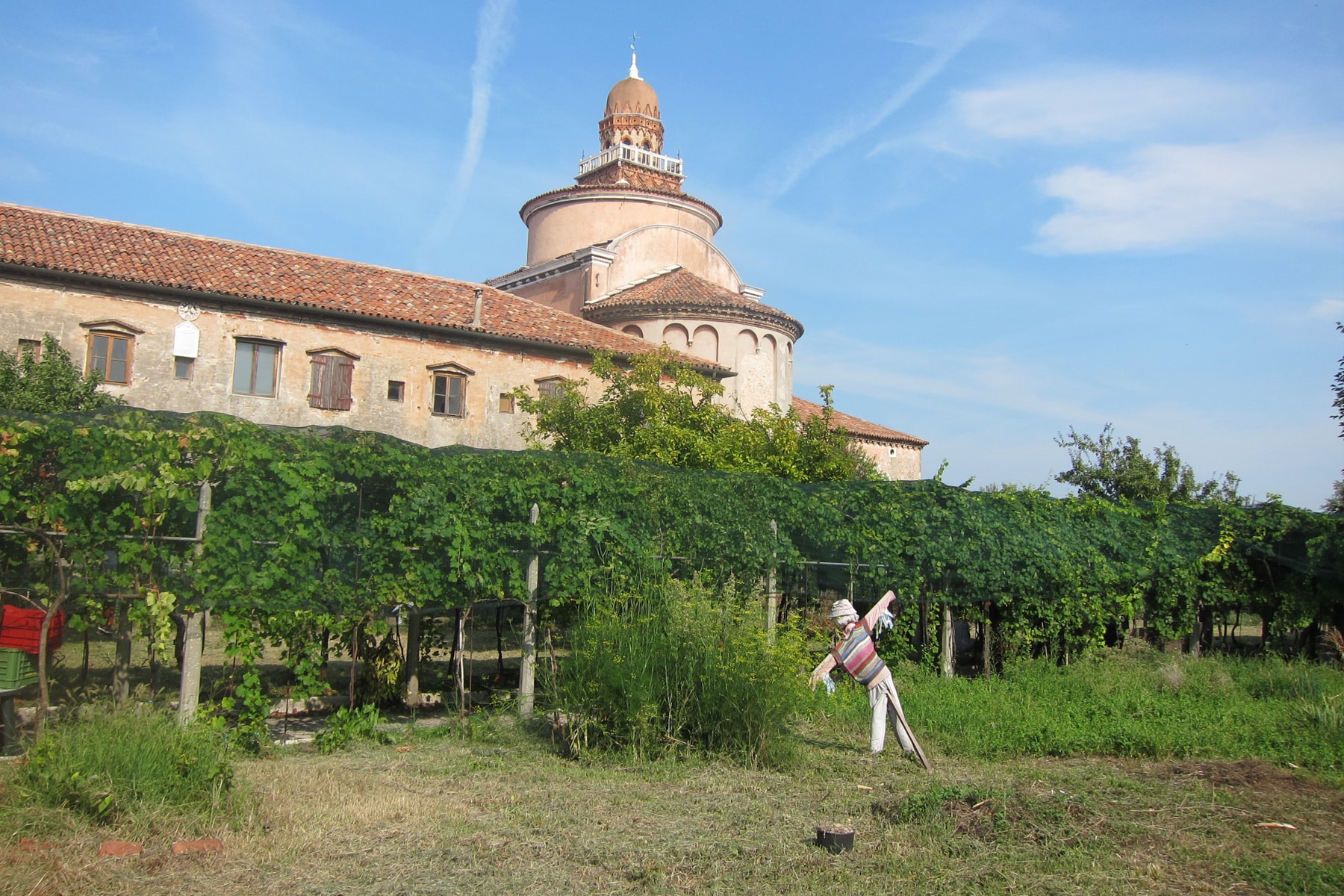 Vigna urbana Venezia Laguna nel Bicchiere