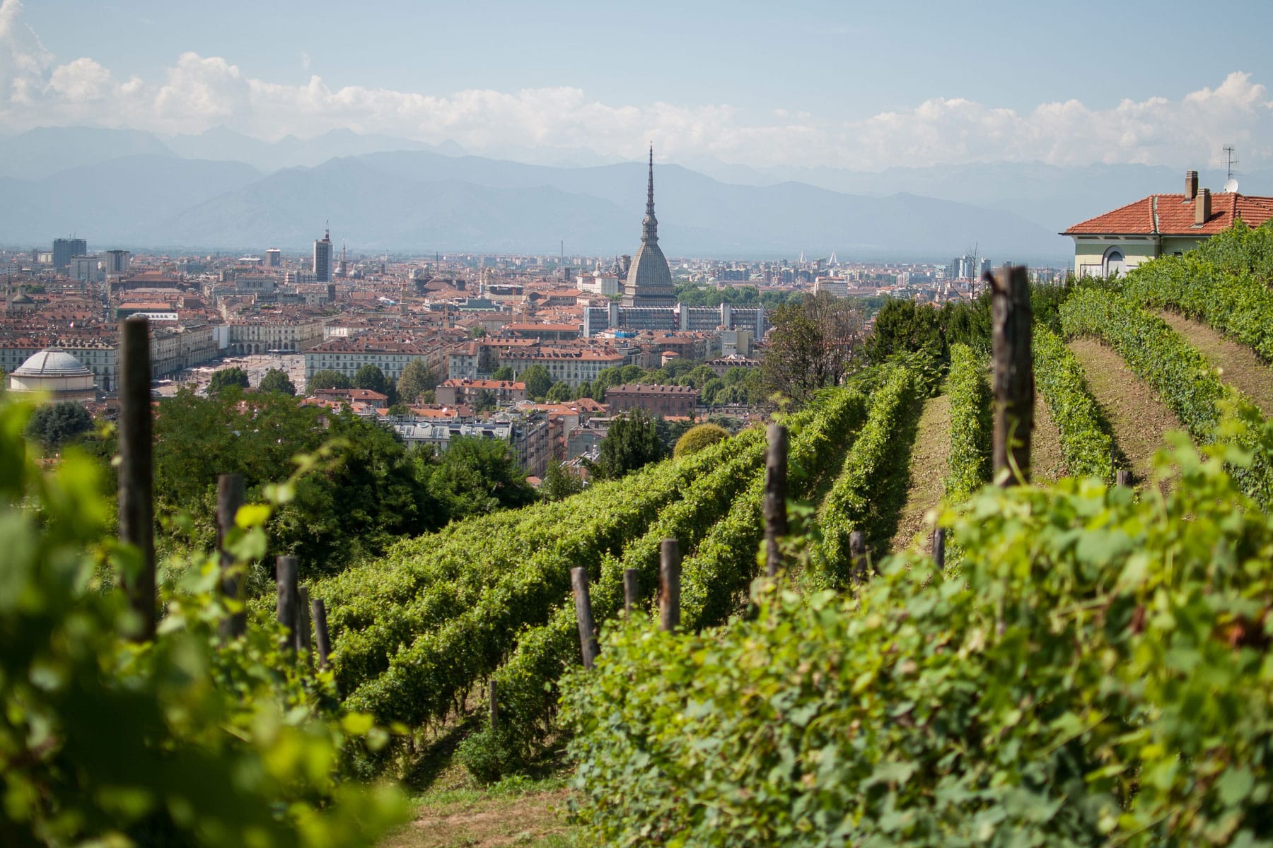 Vigna Urbana Torino