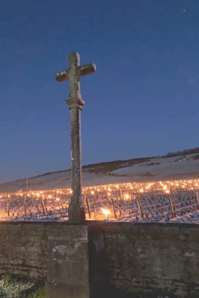 Domaine de la Romanée-Conti