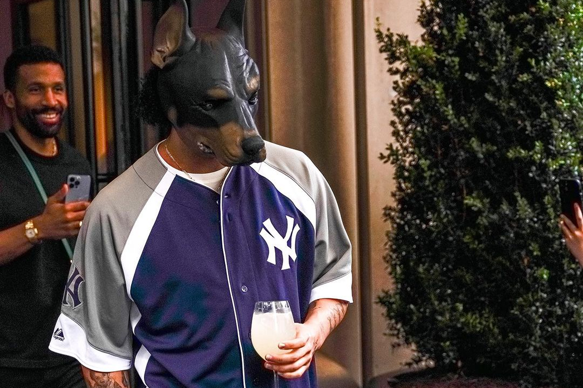 Drake maschera cane dobermann dog mask
