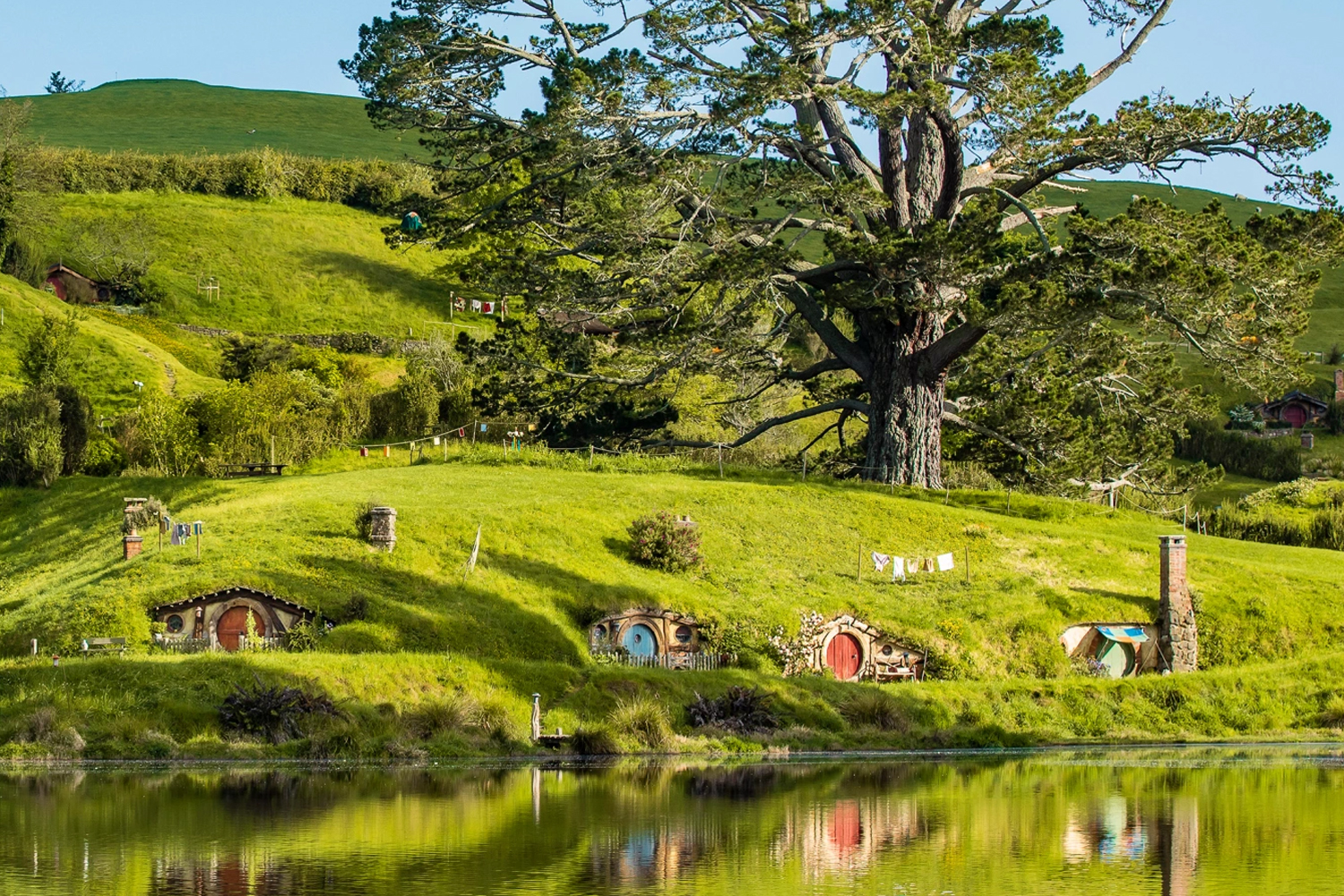 Bilbo Baggins House nuova zelanda hobbiton