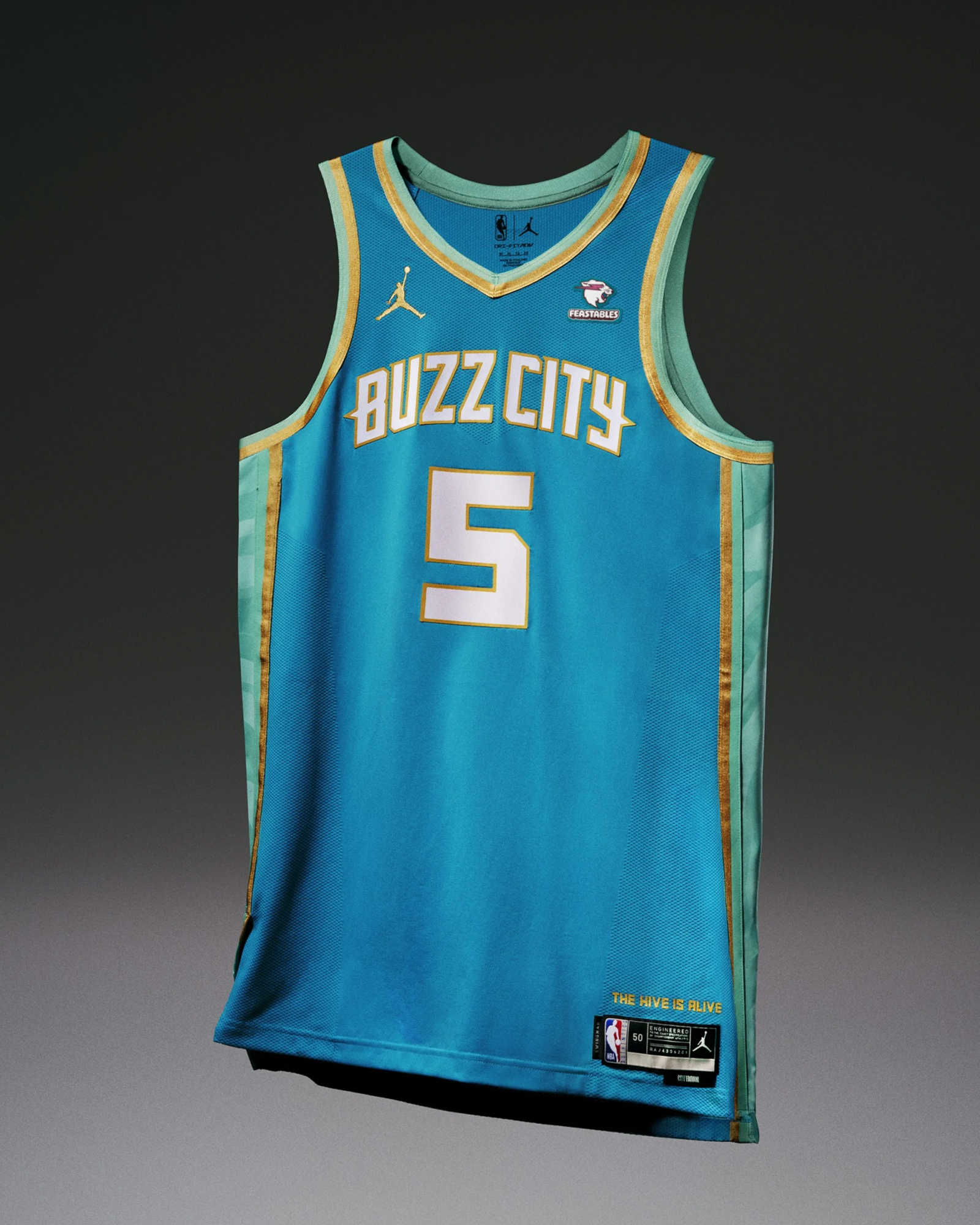 Nike NBA City Edition 2023-24 Charlotte Hornets