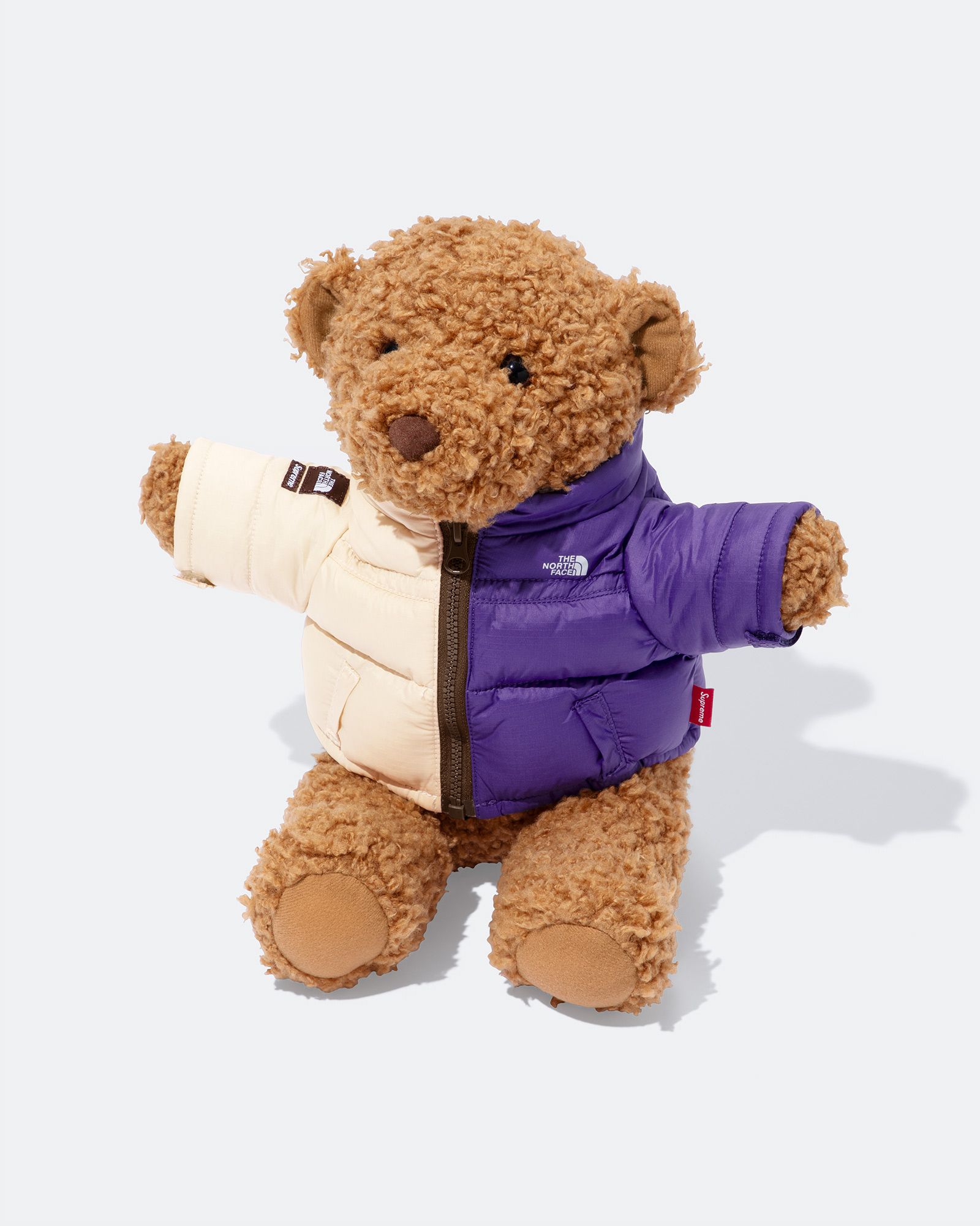 Supreme The North Face collaborazione Bear Orso Spring 2024