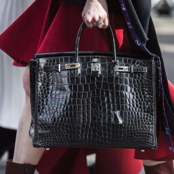 Hermès Birkin Bag accusa pratica commerciale scorretta