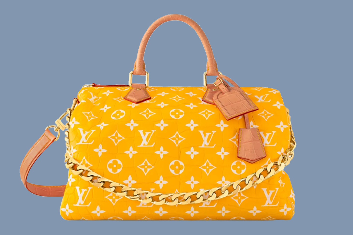 Louis Vuitton Millionaire Speedy Bag