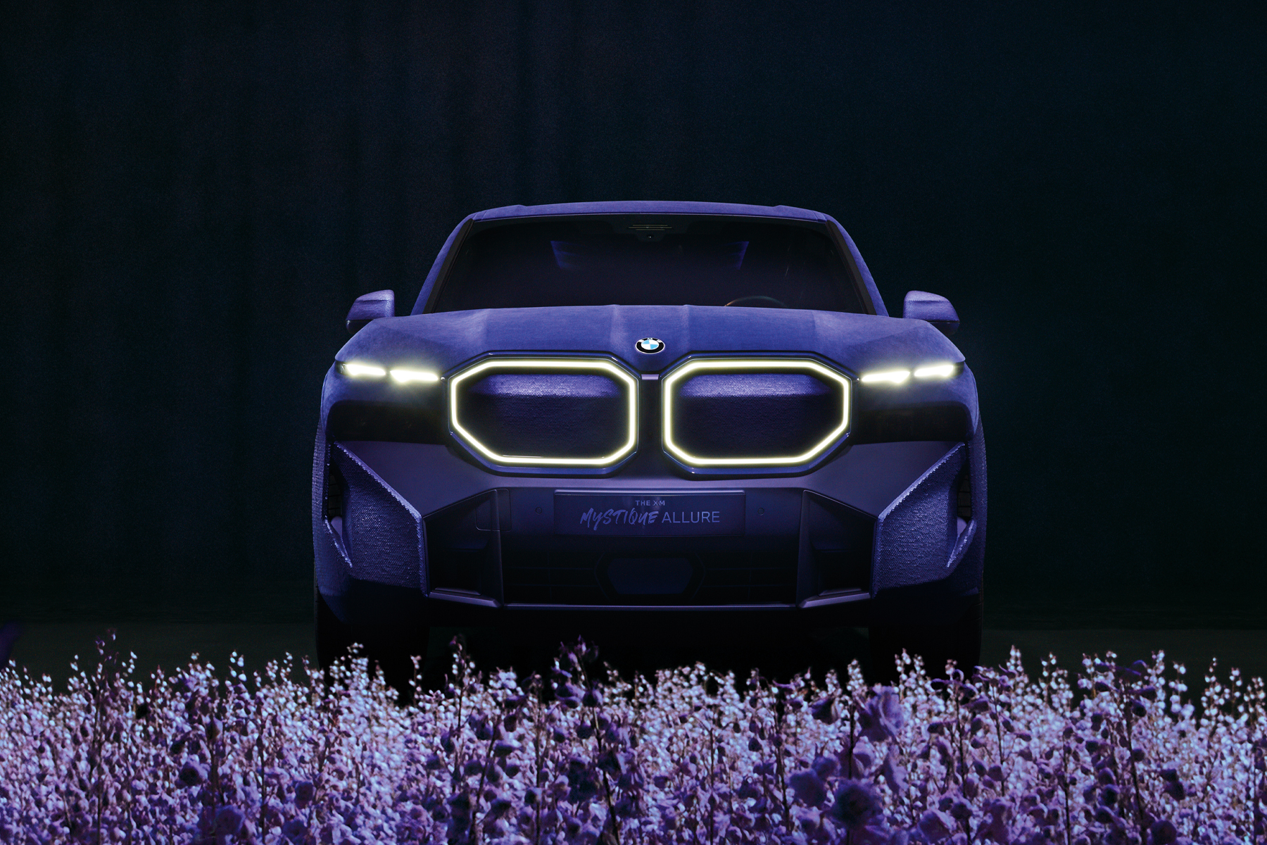The BMW XM Mystique Allure Naomi Campbell