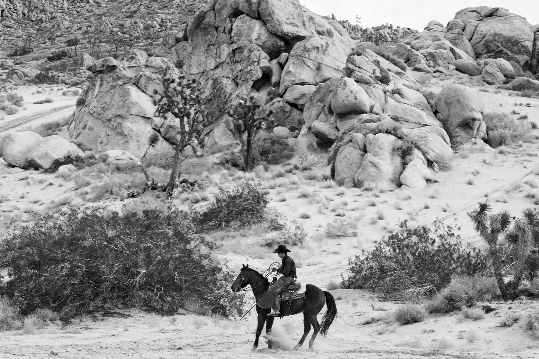 Celine 22 Homme Winter 24 Symphonie Fantastique show uomo