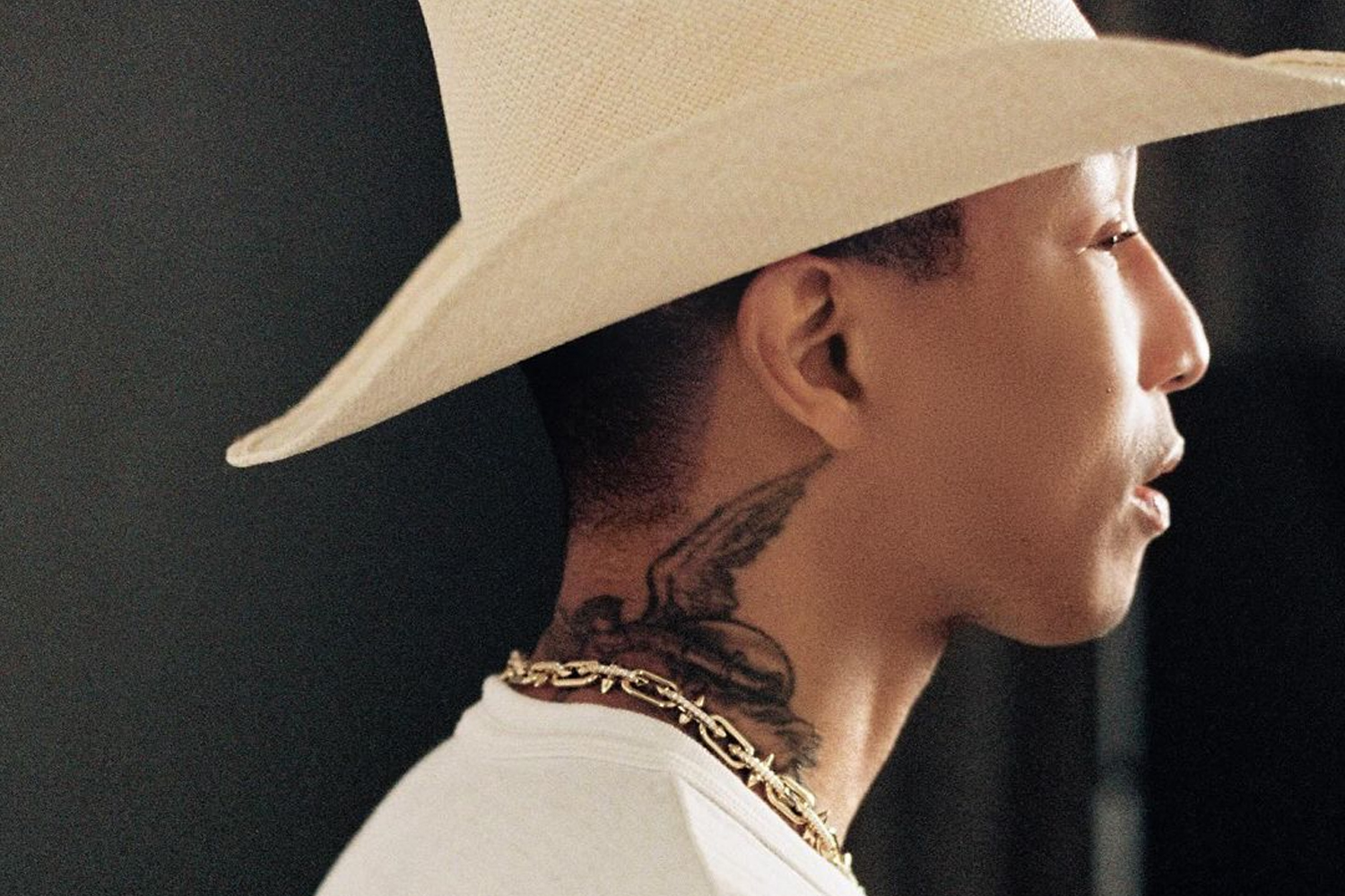 Tiffany & Co. Titan gioielli collezione Pharrell Williams