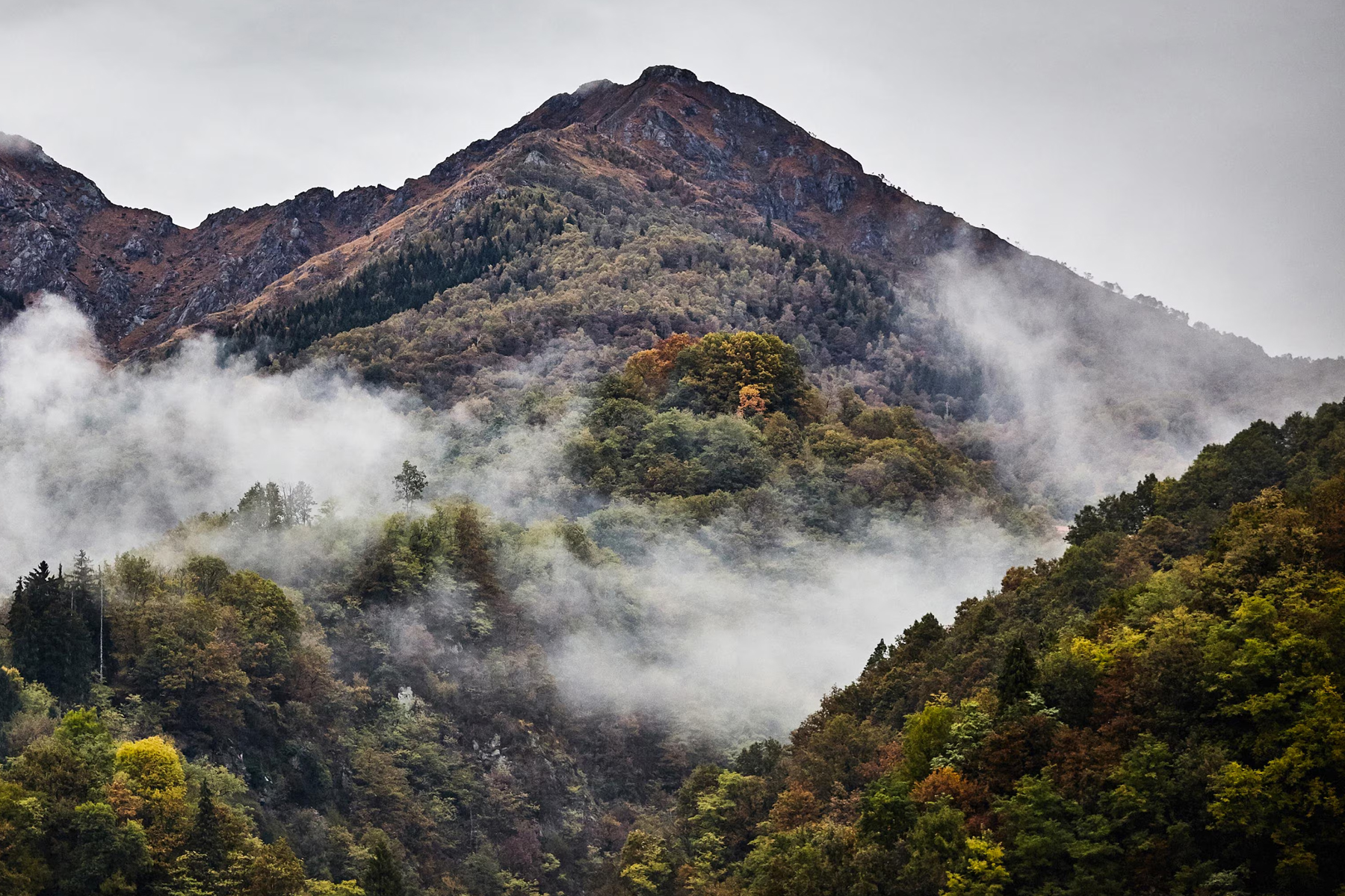 Oasi Zegna Alpi Biella natura patrimonio culturale
