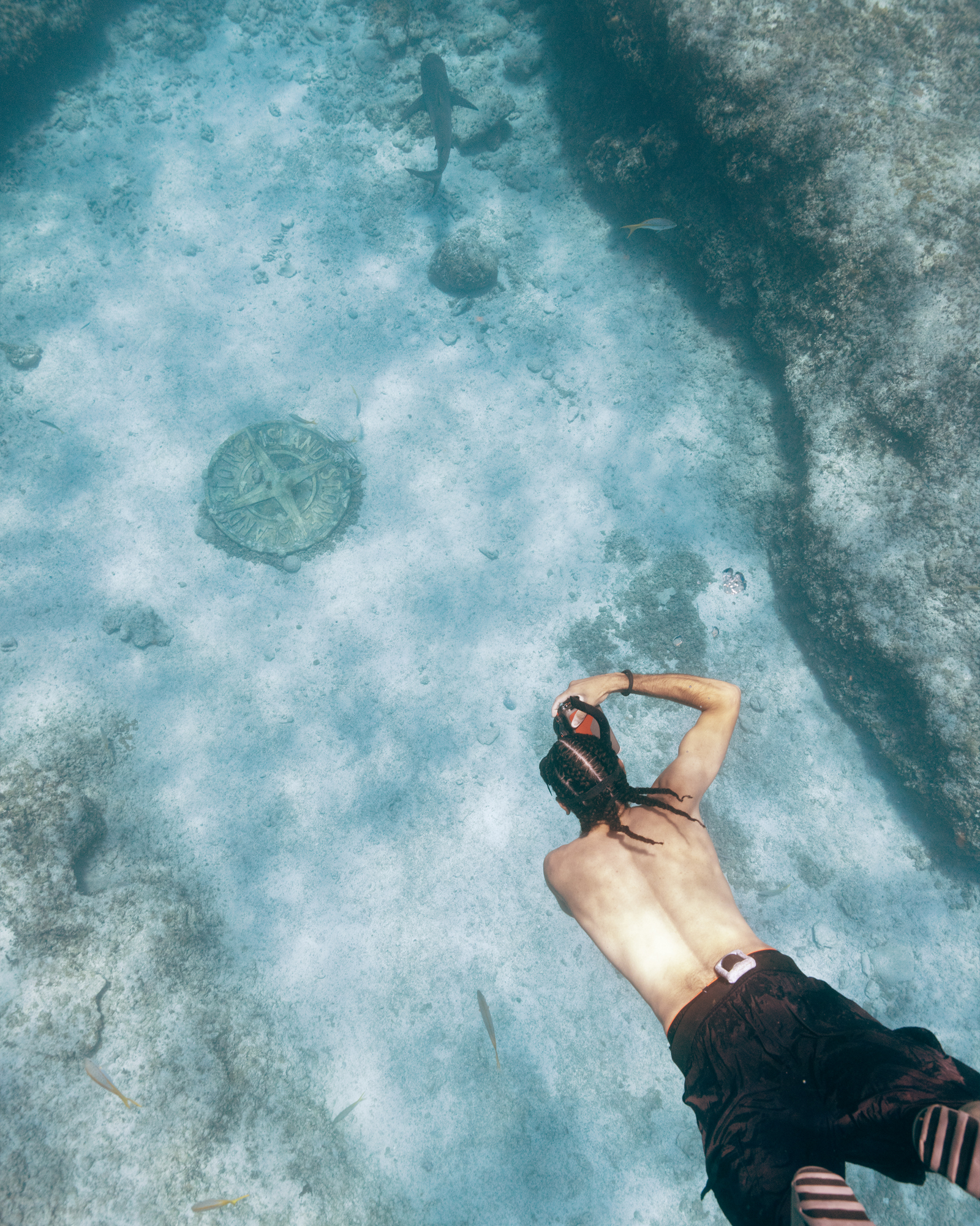 Stone Island campagna squali mare Navigation Series Under The Radar