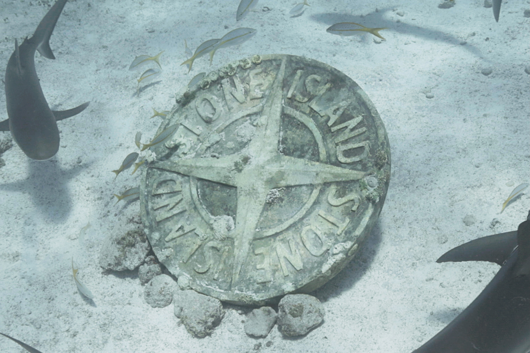 Stone Island campagna squali mare Navigation Series Under The Radar