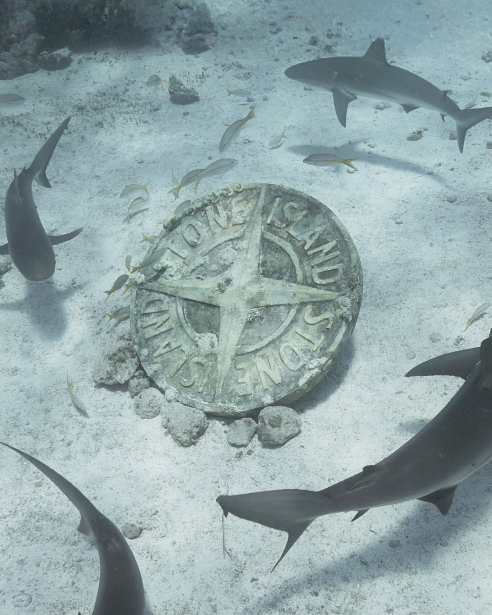 Stone Island campagna squali mare Navigation Series Under The Radar