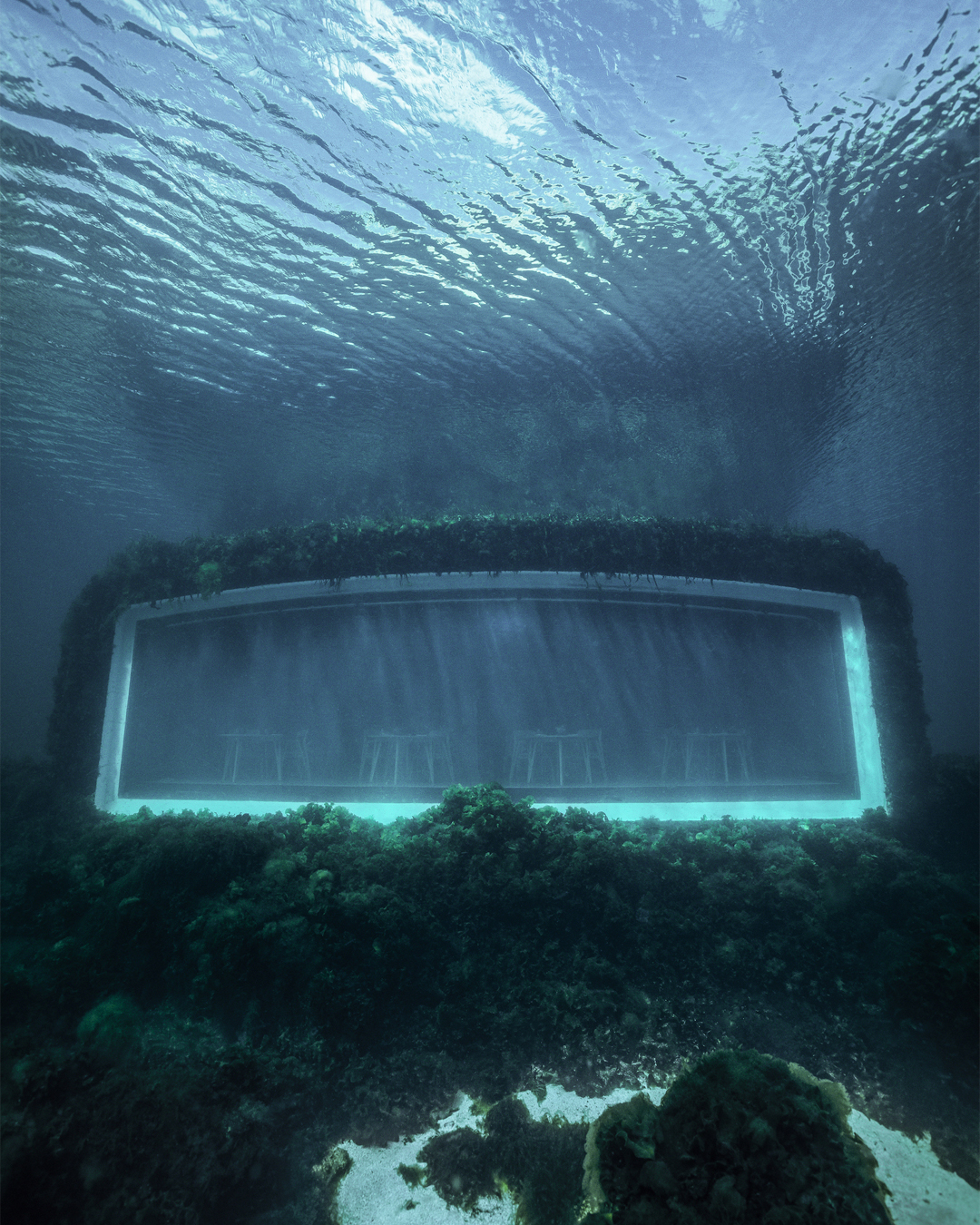 Under ristorante sottomarino Norvegia Guida Michelin