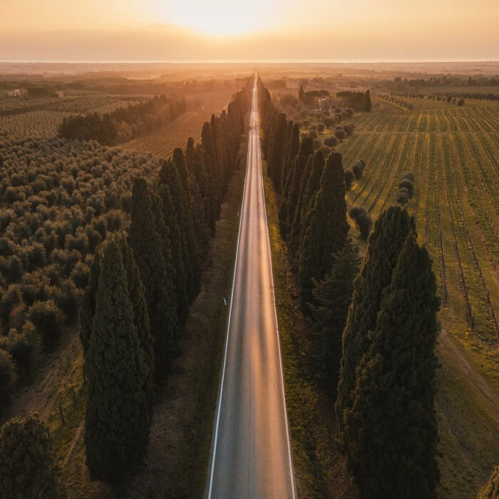 Viale dei Cipressi Bolgheri Toscana