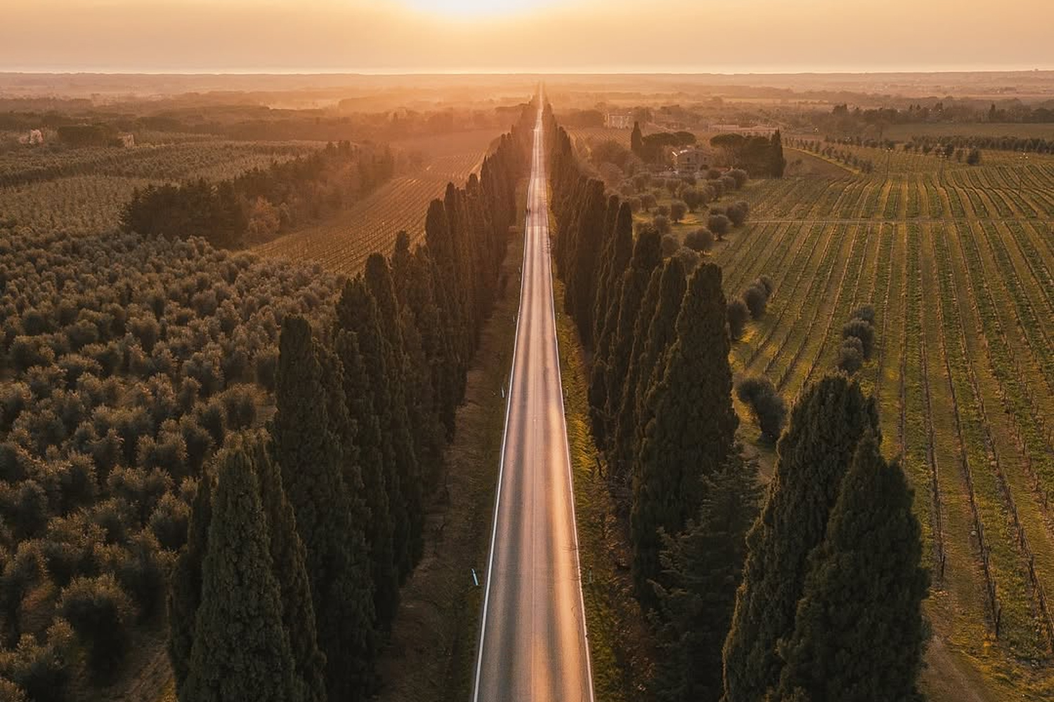 Viale dei Cipressi Bolgheri Toscana