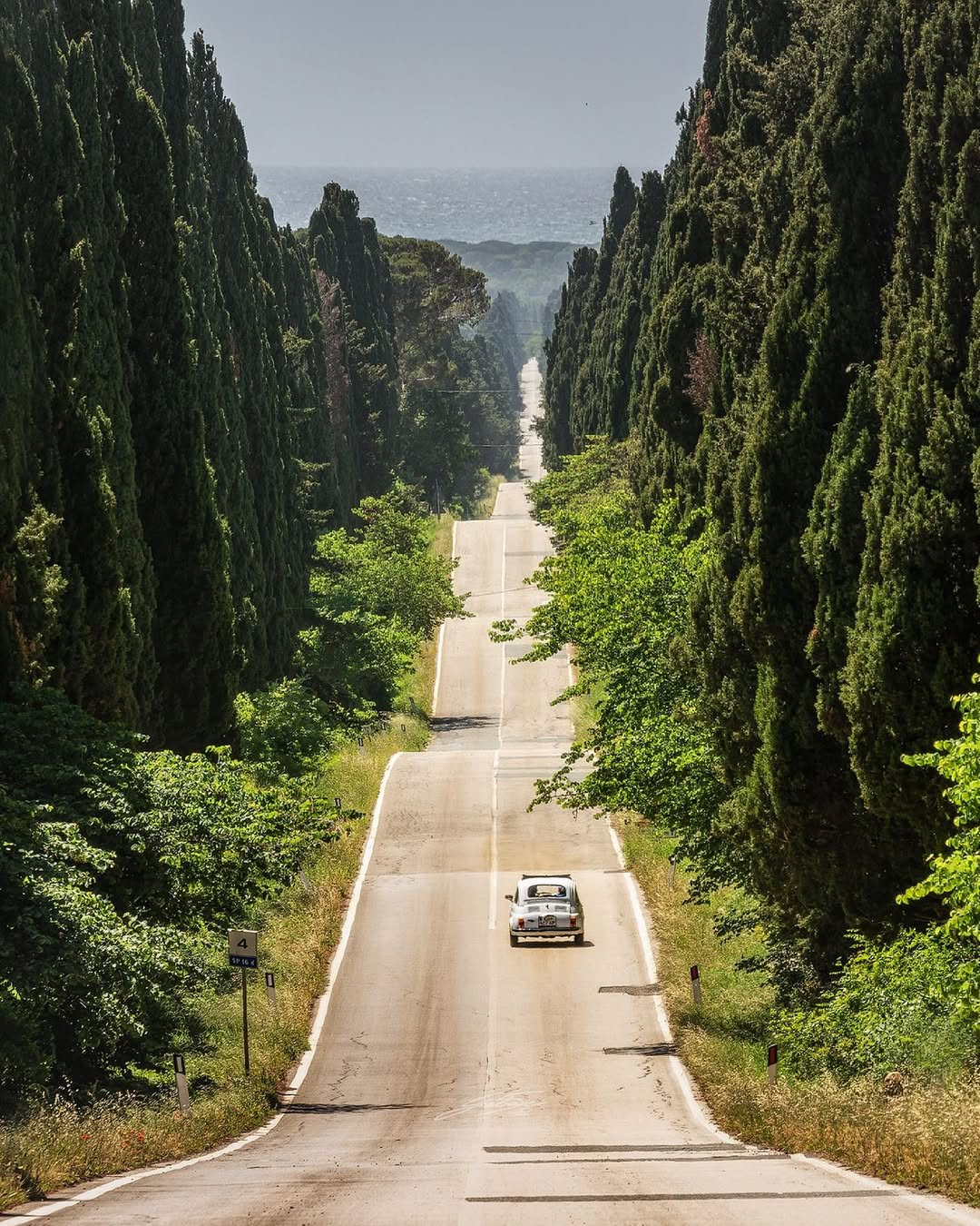 Viale dei Cipressi Bolgheri Toscana