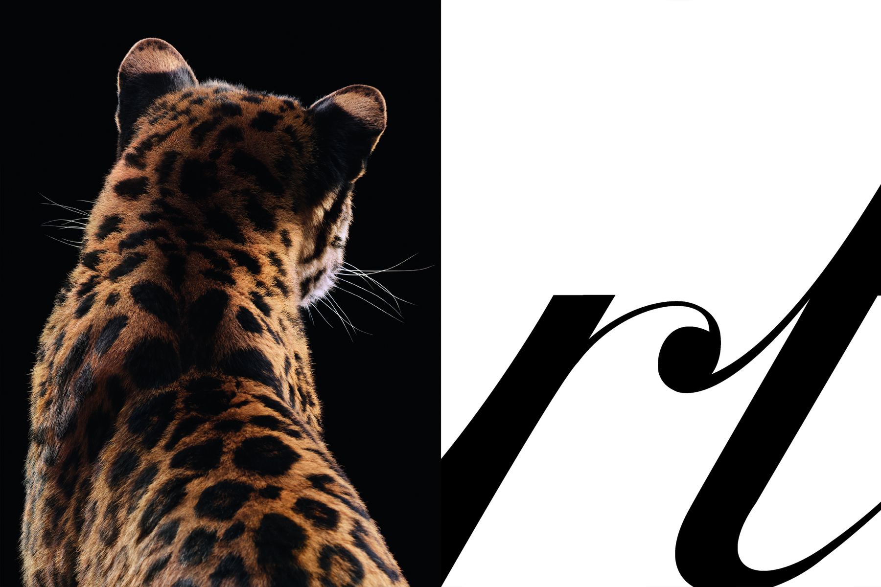 Cartier Panthère Campaign ad