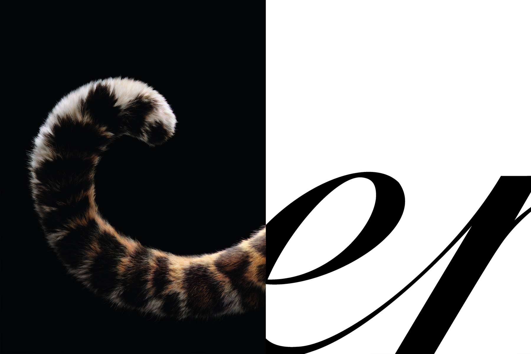 Cartier Panthère Campaign ad