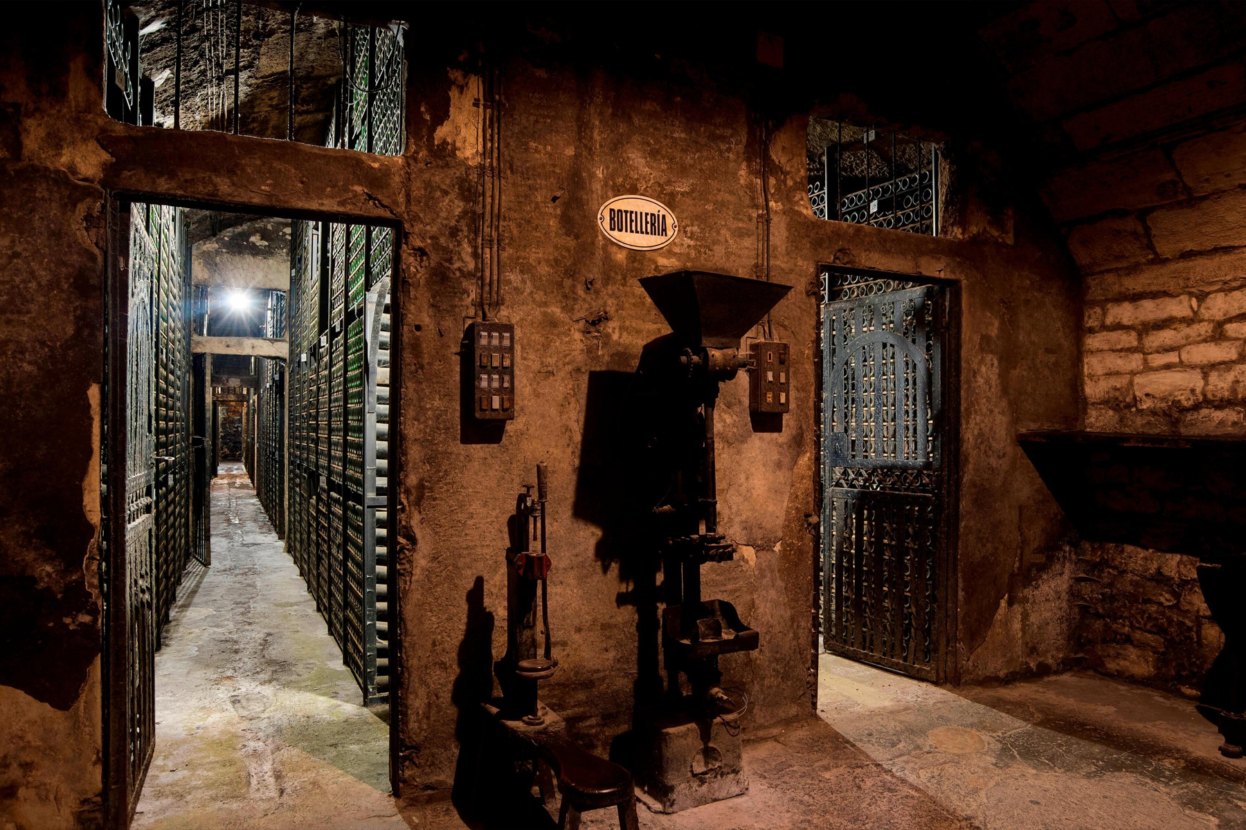 Marqués de Riscal Hotel cantina vino