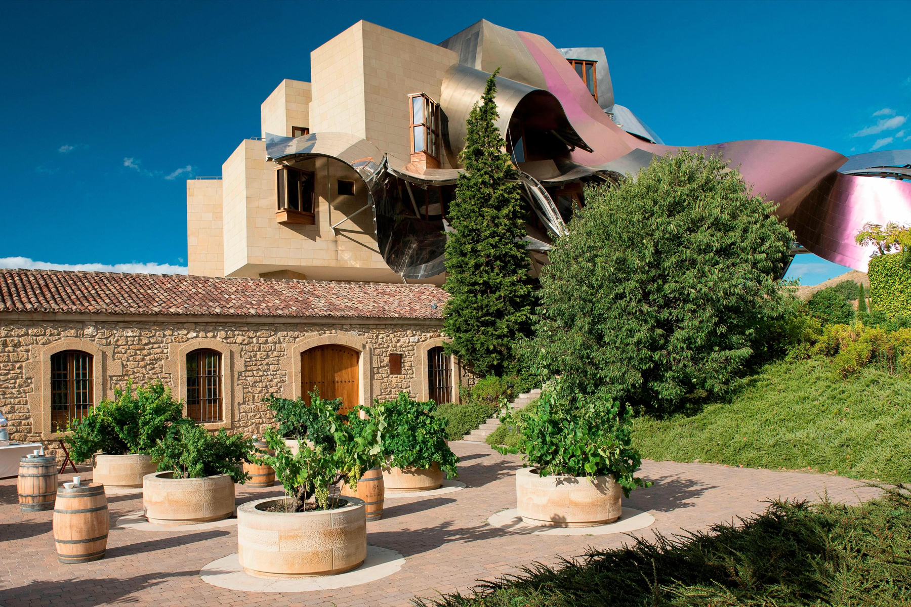 Marqués de Riscal Hotel cantina vino