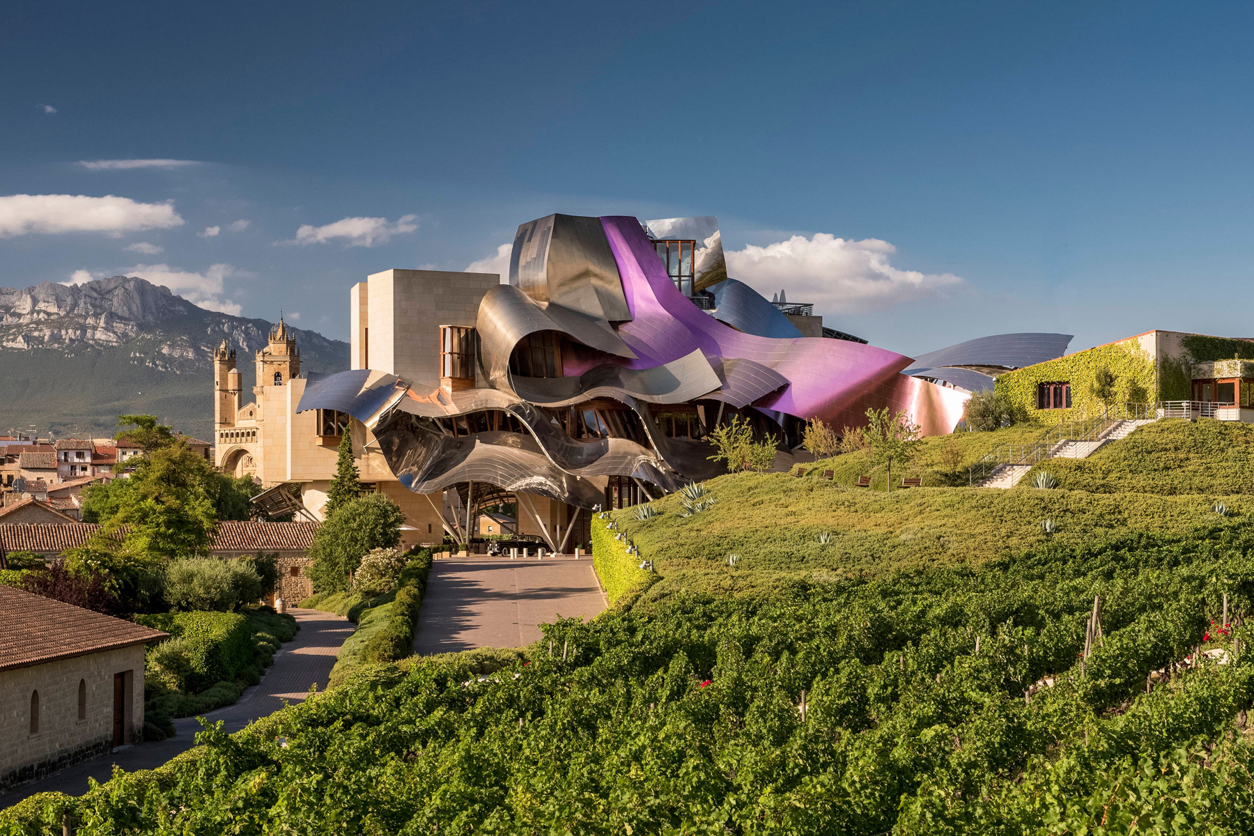 Marqués de Riscal Hotel cantina vino