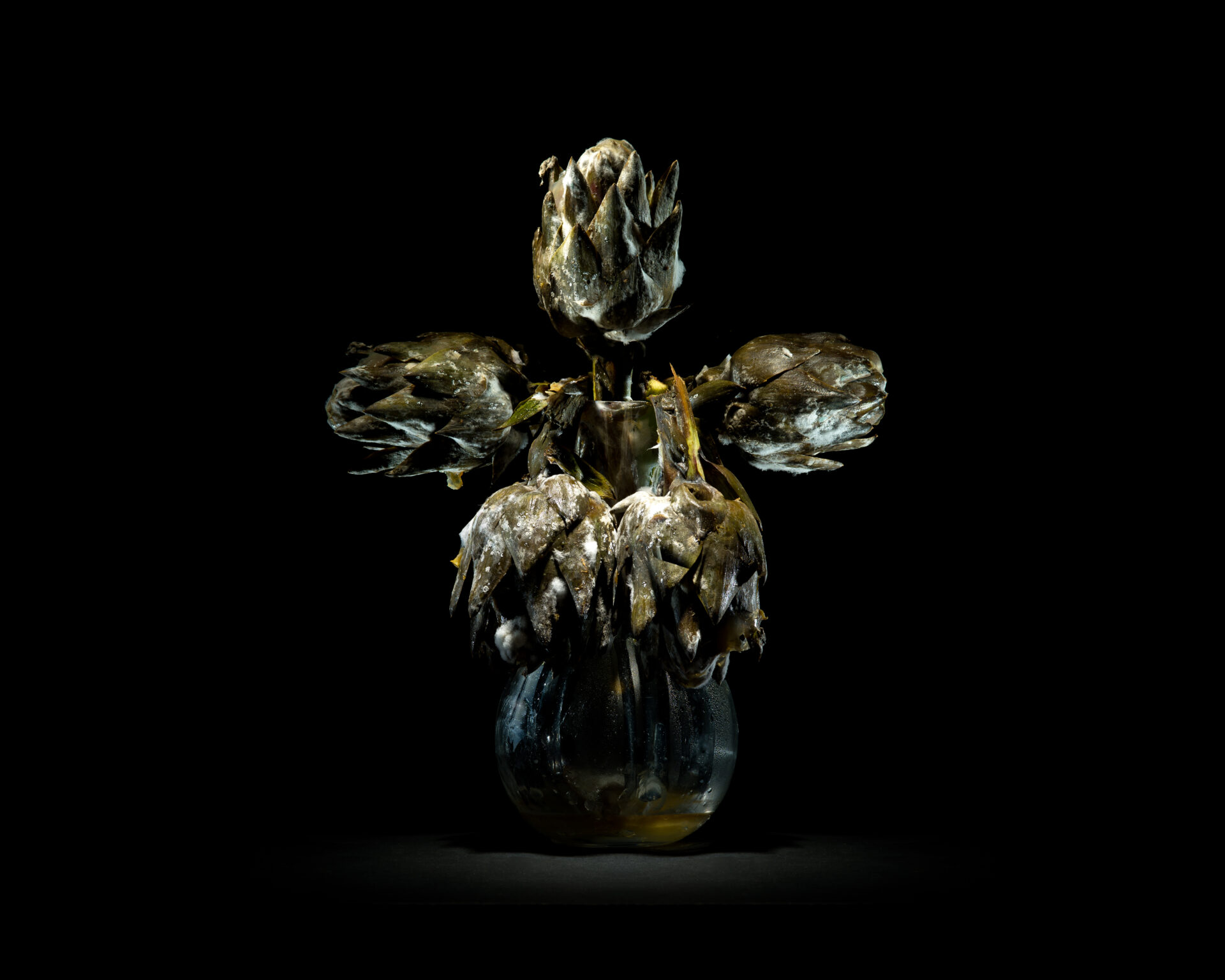 Yeast Photo Festival 2025 Puglia Salento