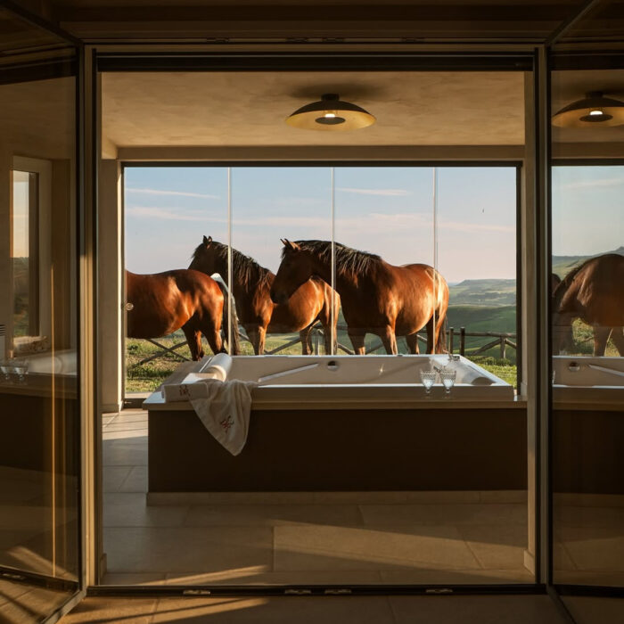 Agriturismo Re Tarquinio Tuscania cavalli colline