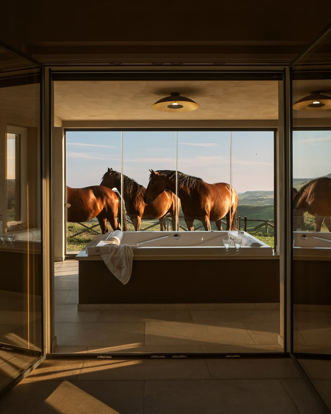 Agriturismo Re Tarquinio Tuscania cavalli colline