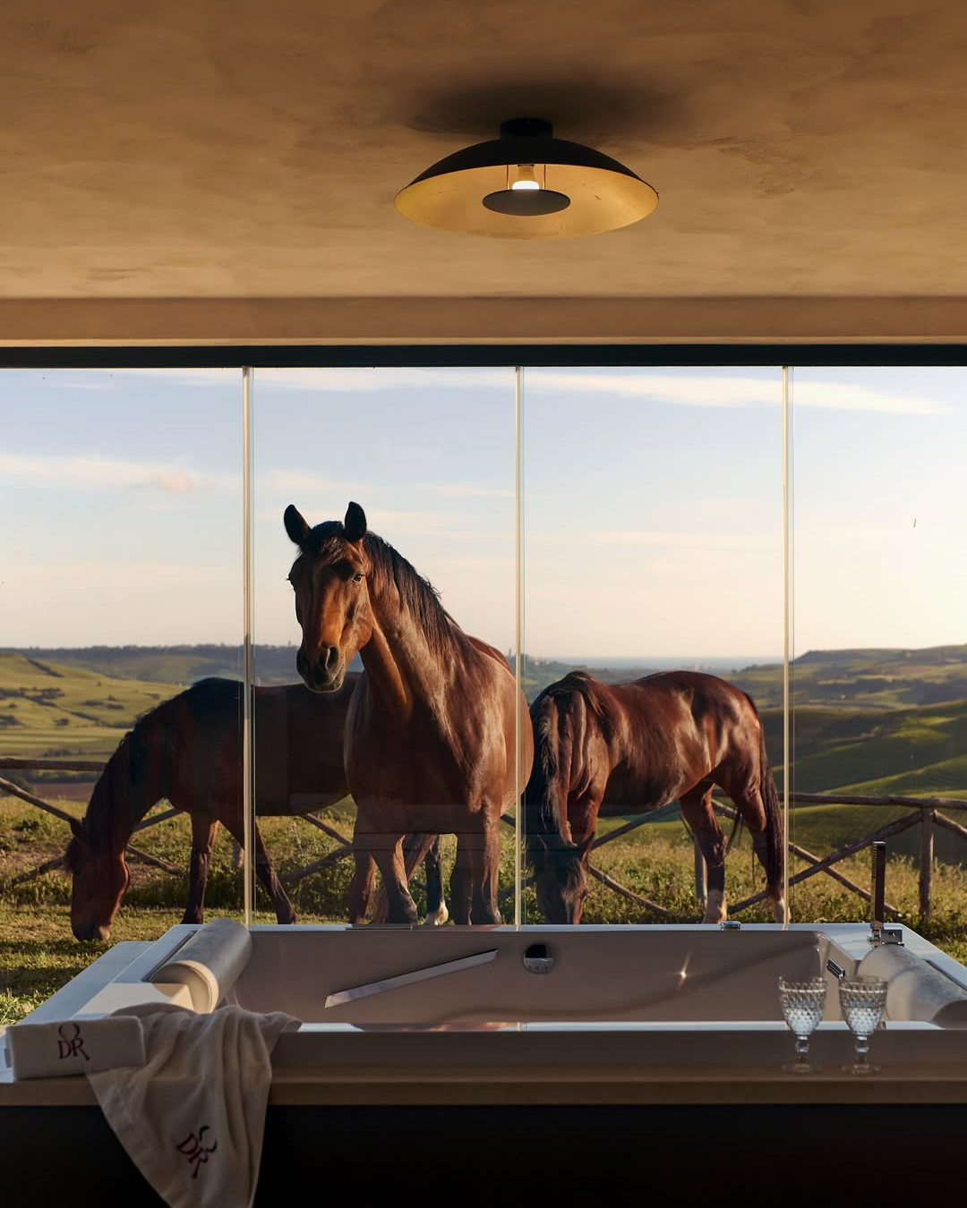 Agriturismo Re Tarquinio Tuscania cavalli colline