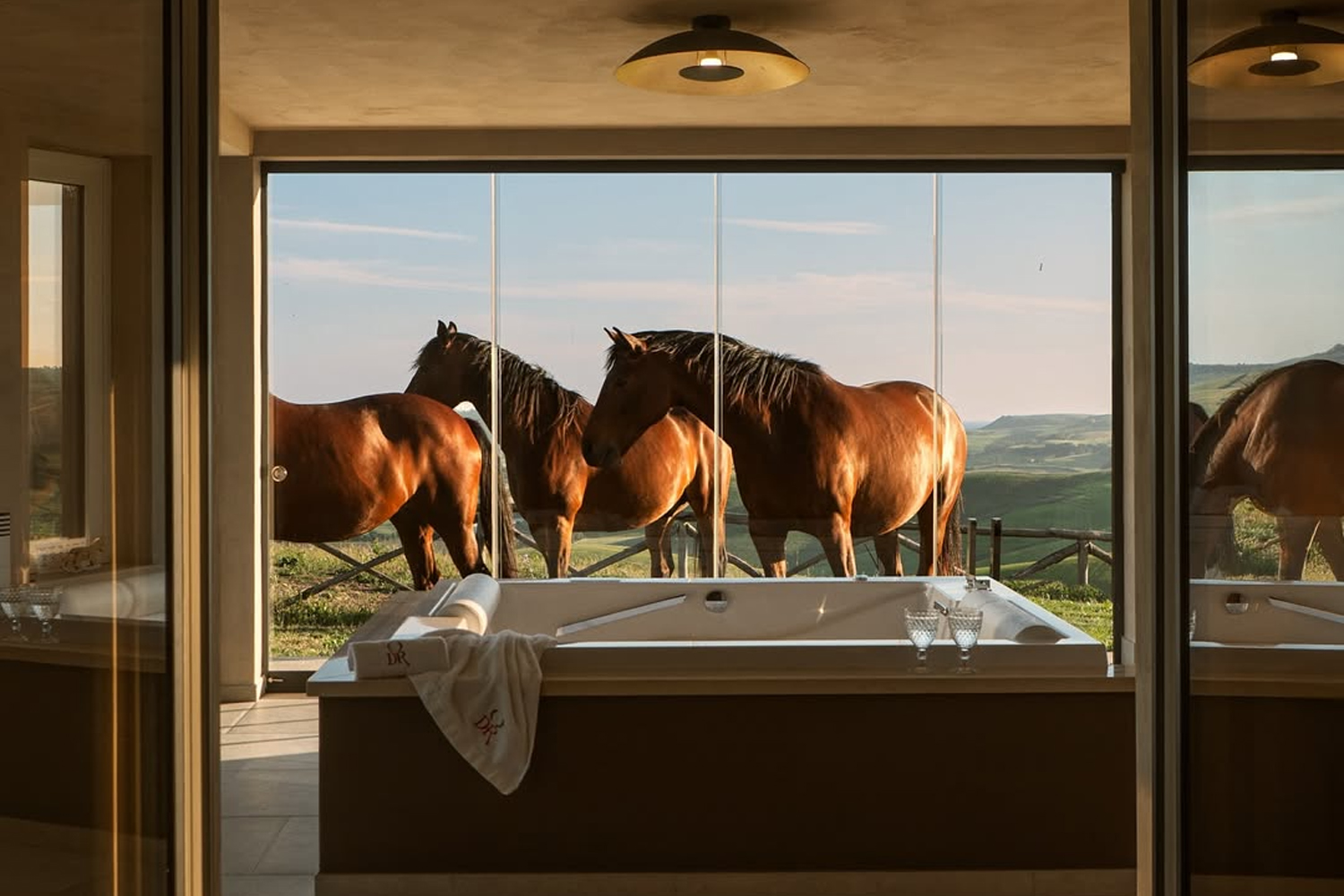 Agriturismo Re Tarquinio Tuscania cavalli colline