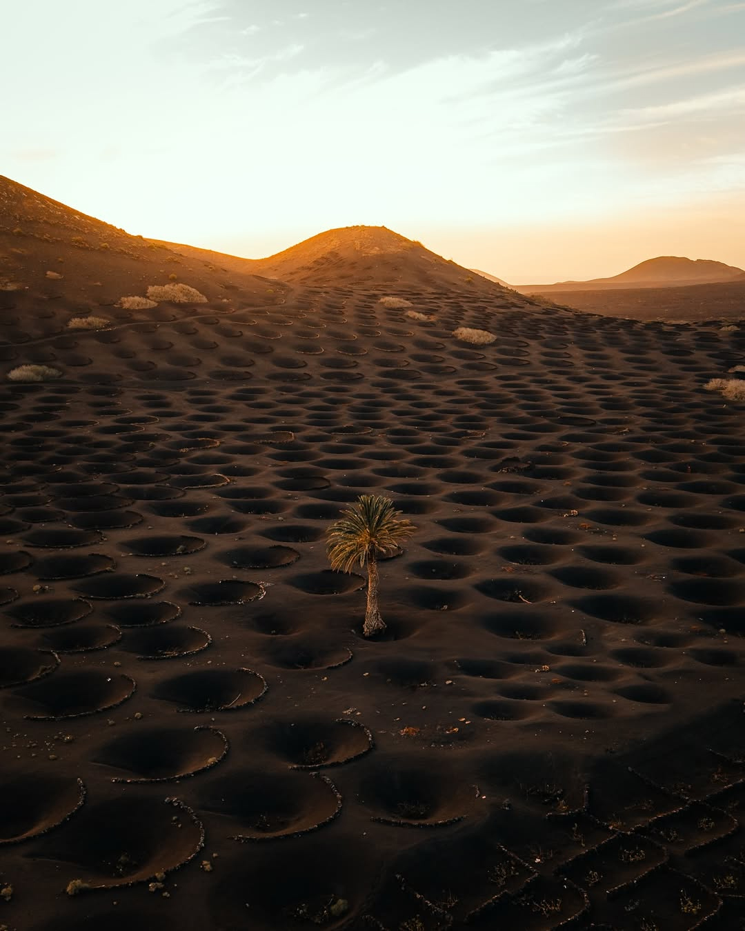 La Geria Lanzarote viticoltura eroica Luna