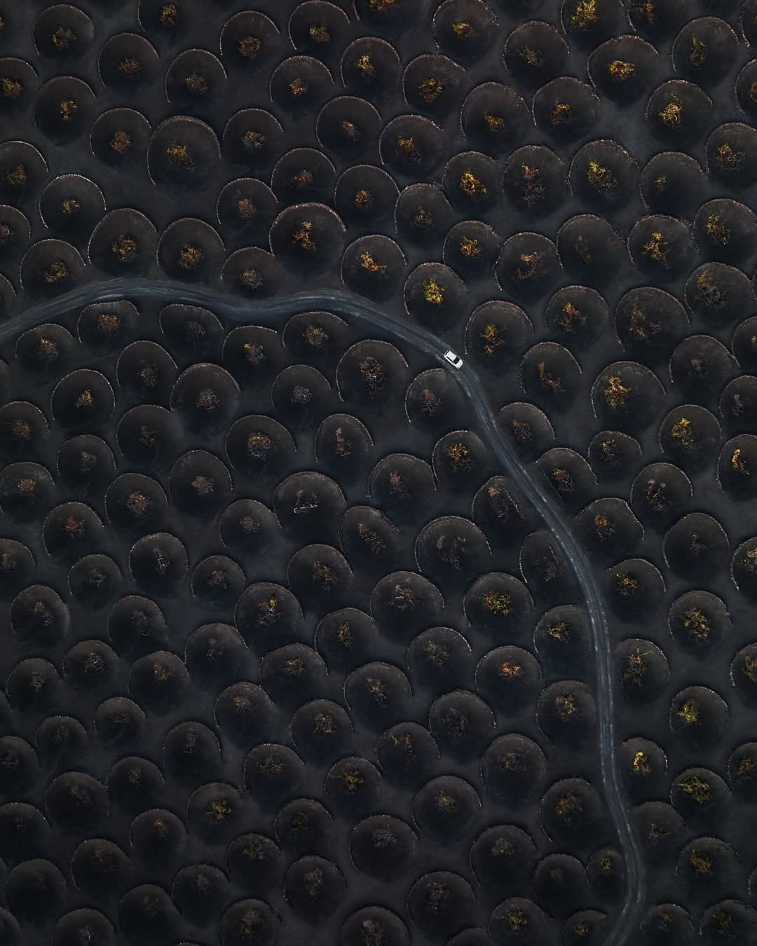 La Geria Lanzarote viticoltura eroica Luna