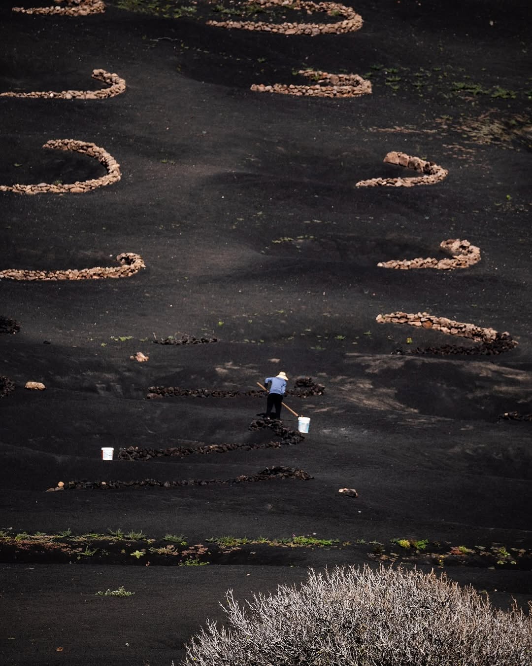 La Geria Lanzarote viticoltura eroica Luna