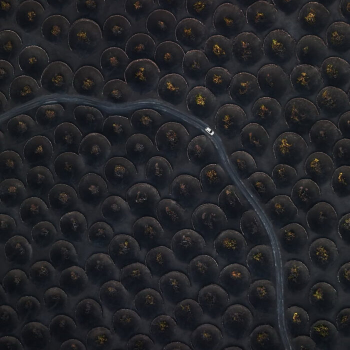 La Geria Lanzarote viticoltura eroica Luna