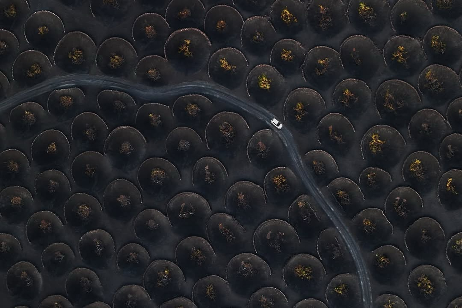La Geria Lanzarote viticoltura eroica Luna