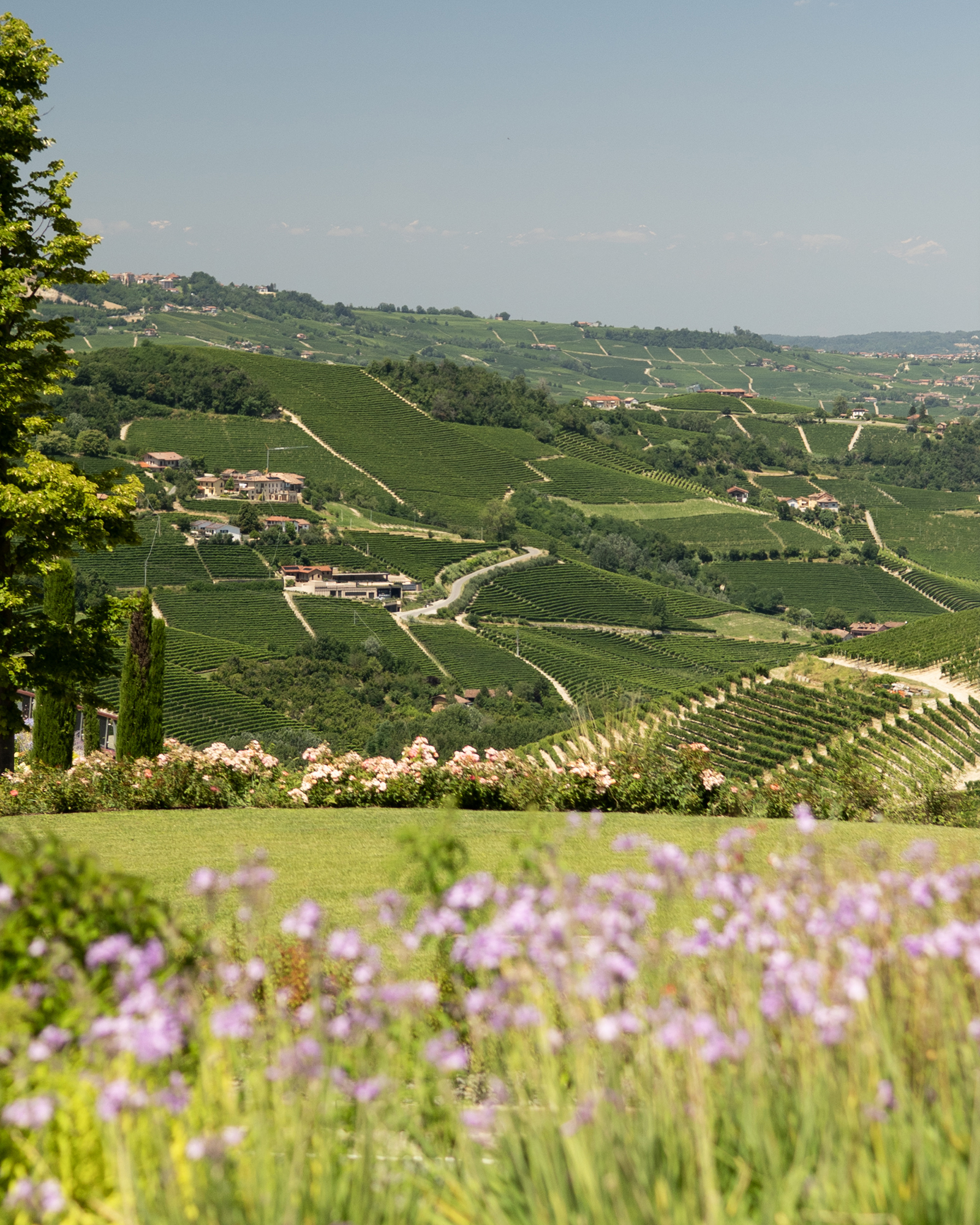 Colline Langhe panorama La Rei Natura ristorante Michelangelo Mammoliti