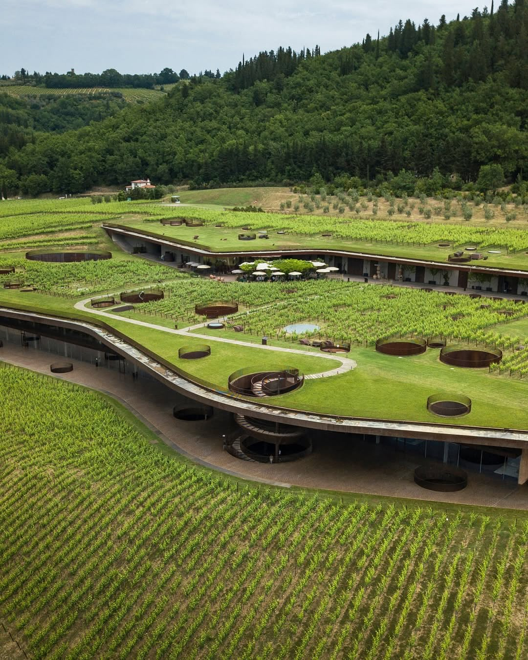 Marchesi Antinori nel Chianti Classico Cantina Vino Toscana