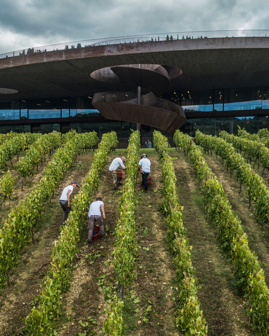 Marchesi Antinori nel Chianti Classico Cantina Vino Toscana