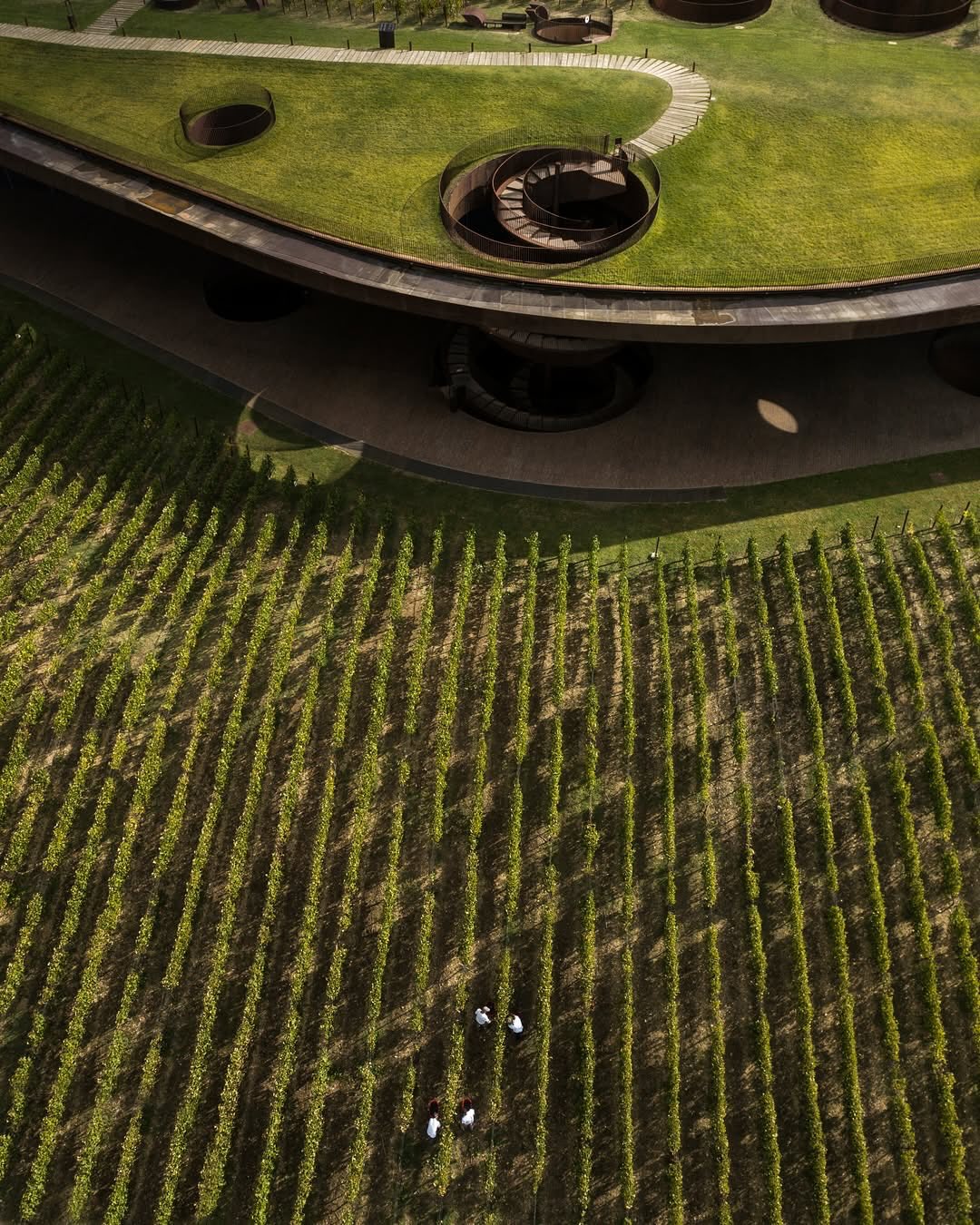 Marchesi Antinori nel Chianti Classico Cantina Vino Toscana