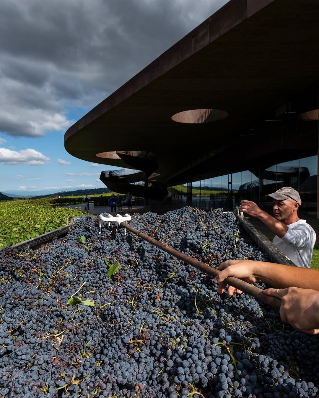 Marchesi Antinori nel Chianti Classico Cantina Vino Toscana