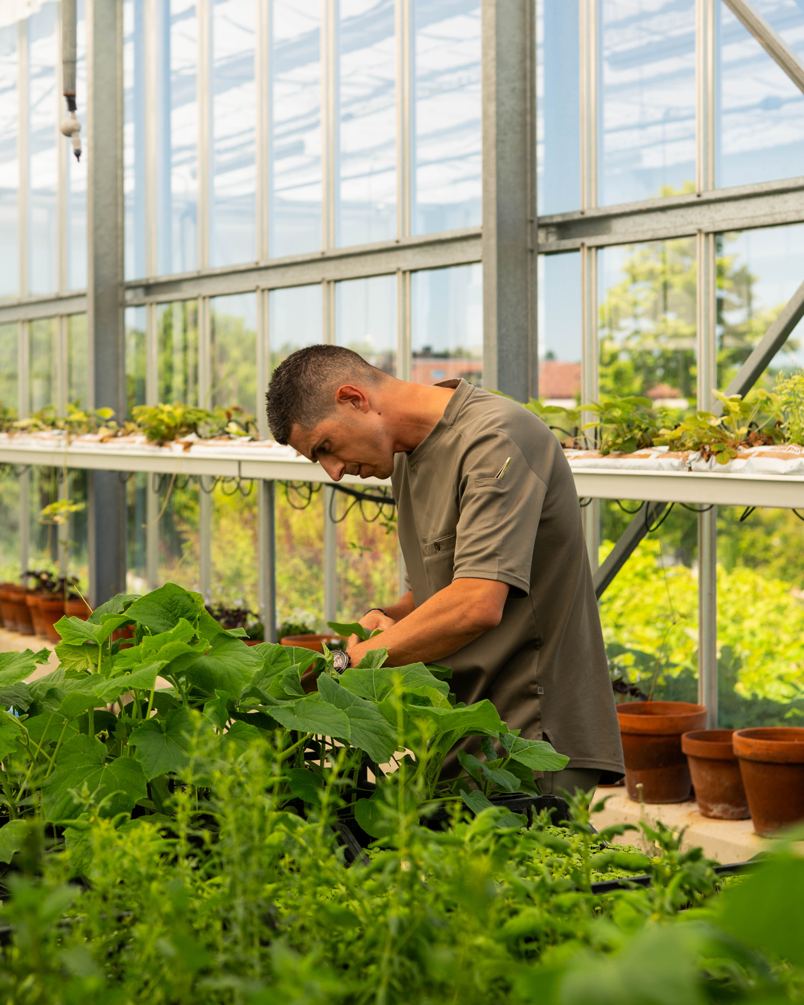 Michelangelo Mammoliti Orto Serra La Rei Natura Intervista